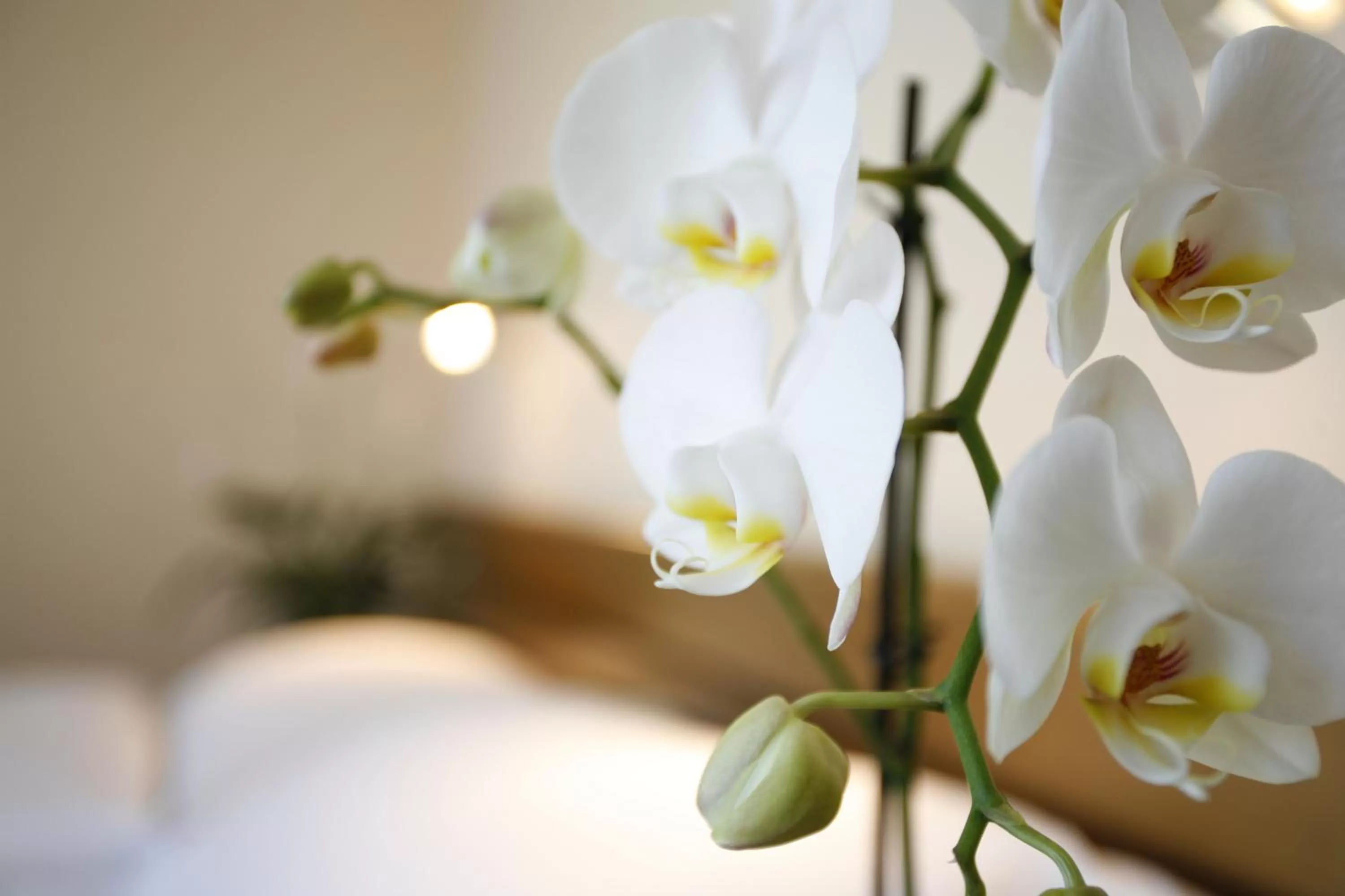 Decorative detail, Bed in Ambassador Self Check-in Hotel