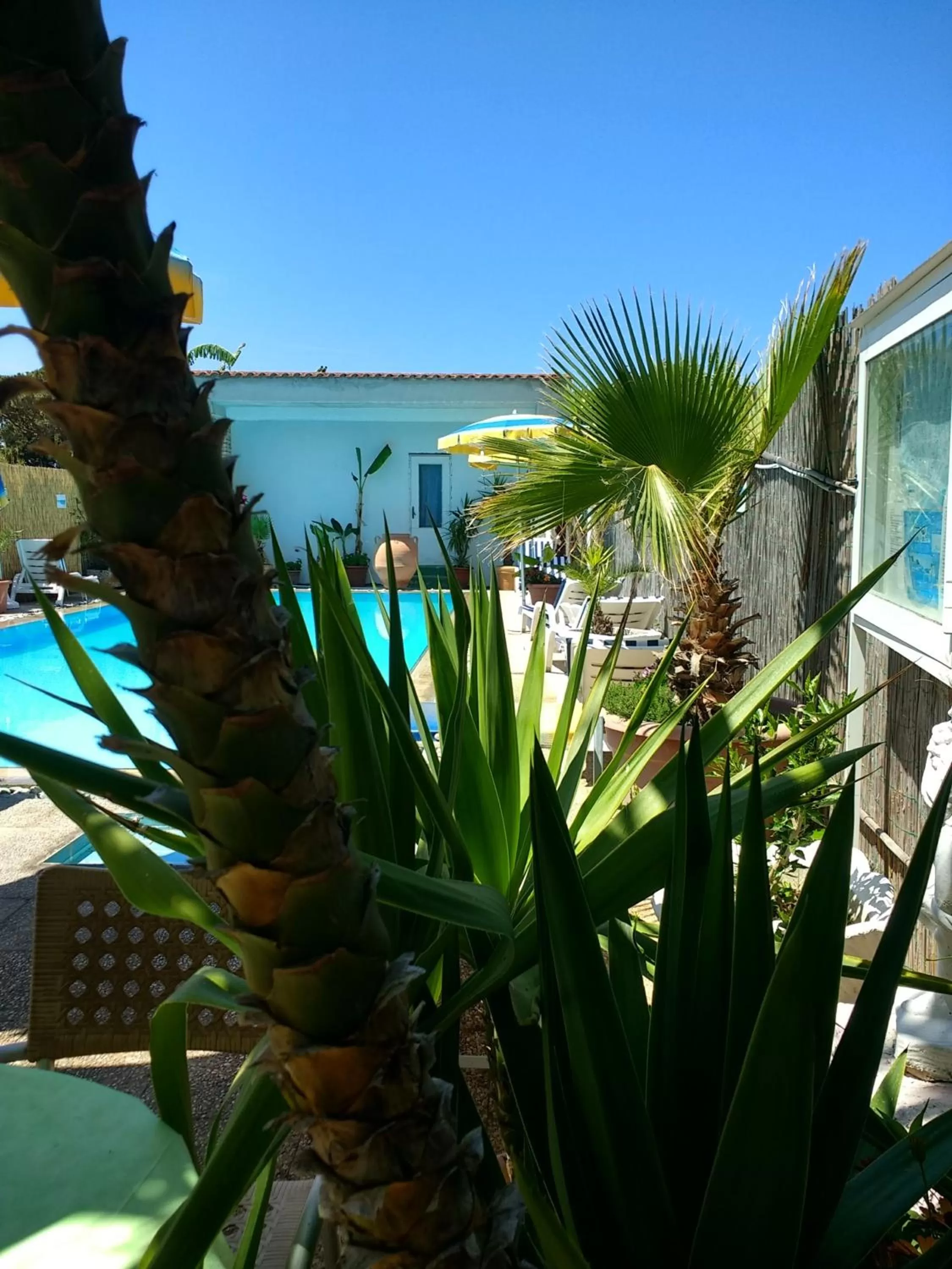 Swimming pool in Hotel Casa Nicola
