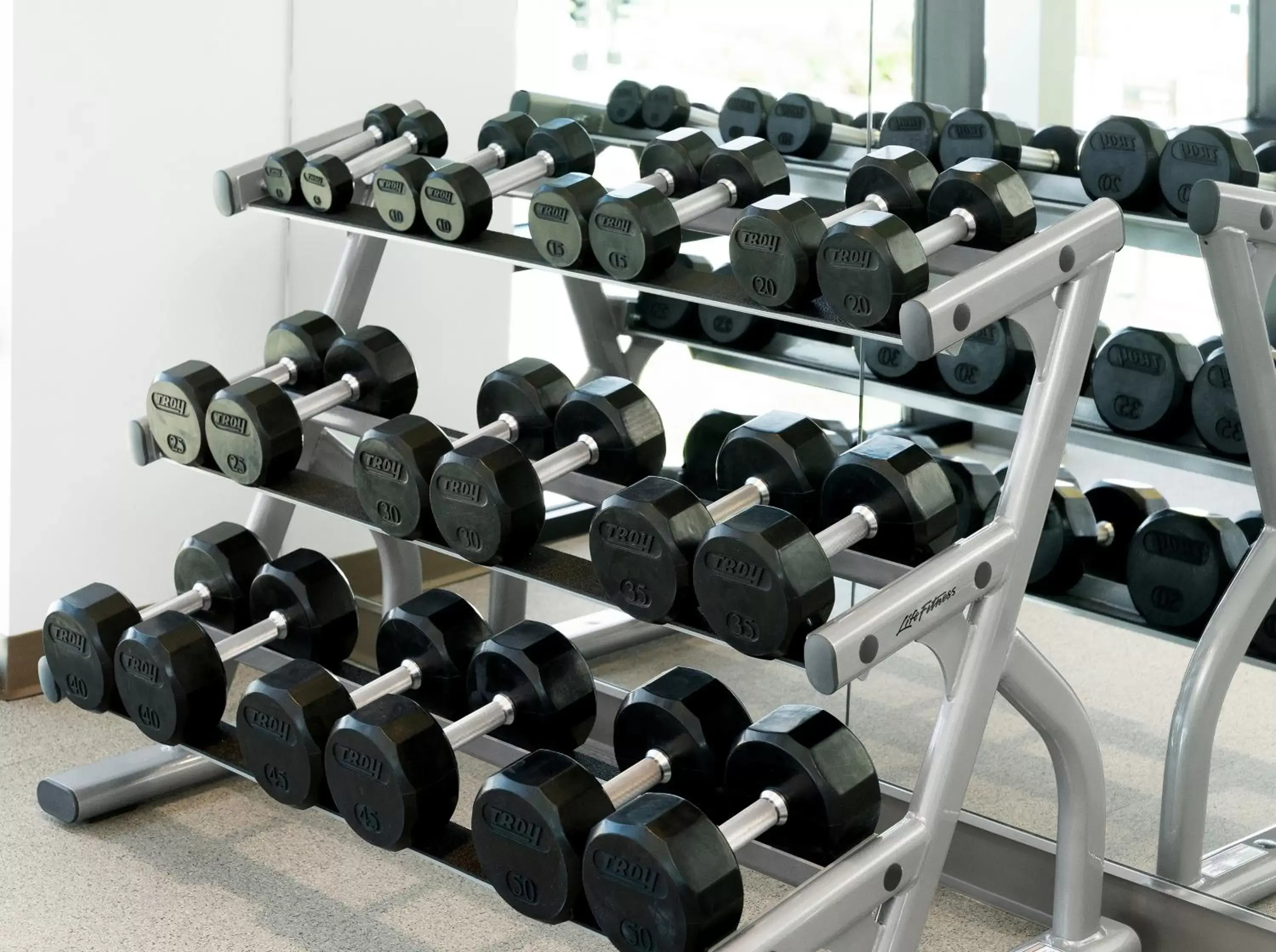 Fitness centre/facilities, Fitness Center/Facilities in Ayres Hotel San Diego South - Chula Vista