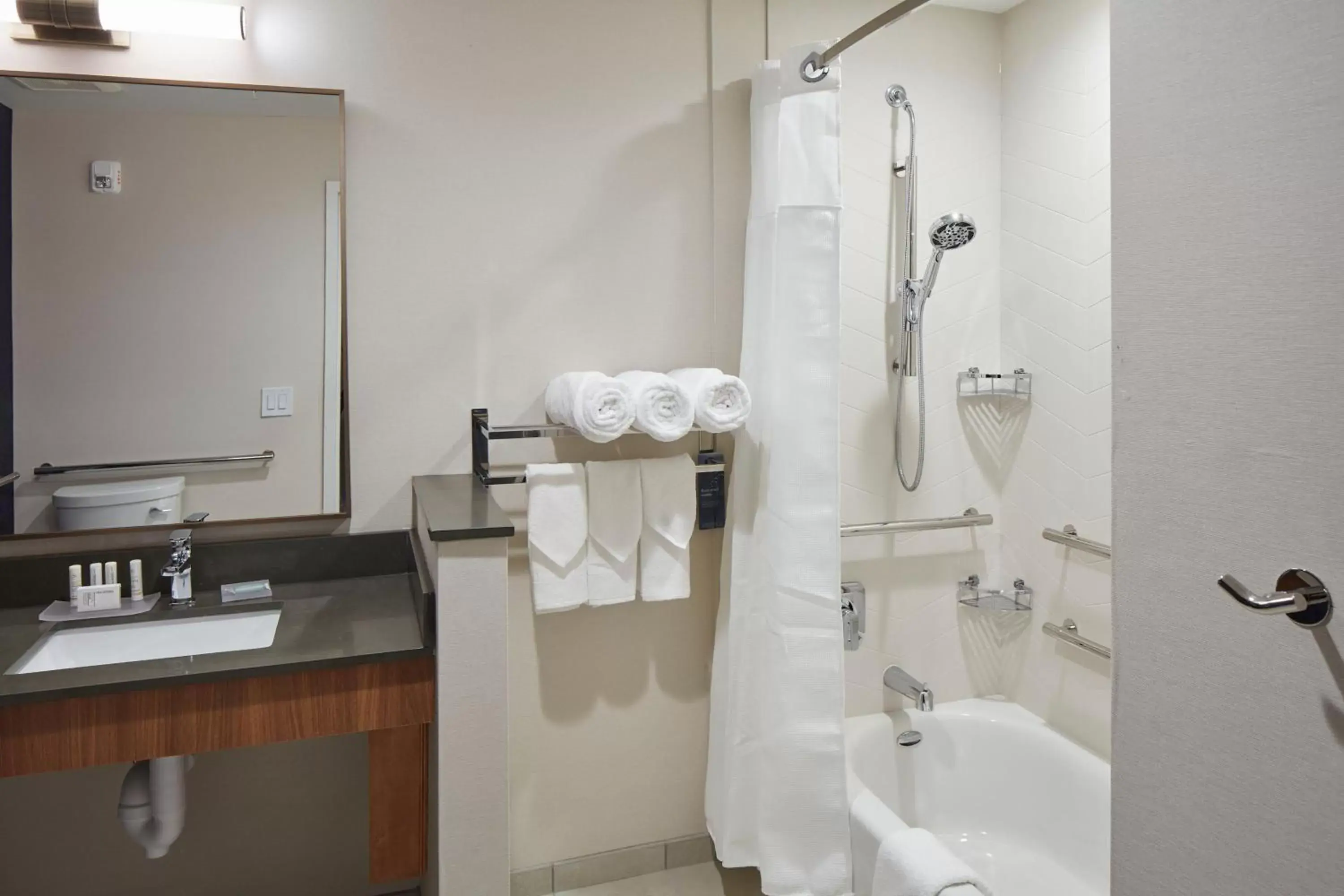 Photo of the whole room, Bathroom in Fairfield Inn & Suites Seneca Clemson Univ Area