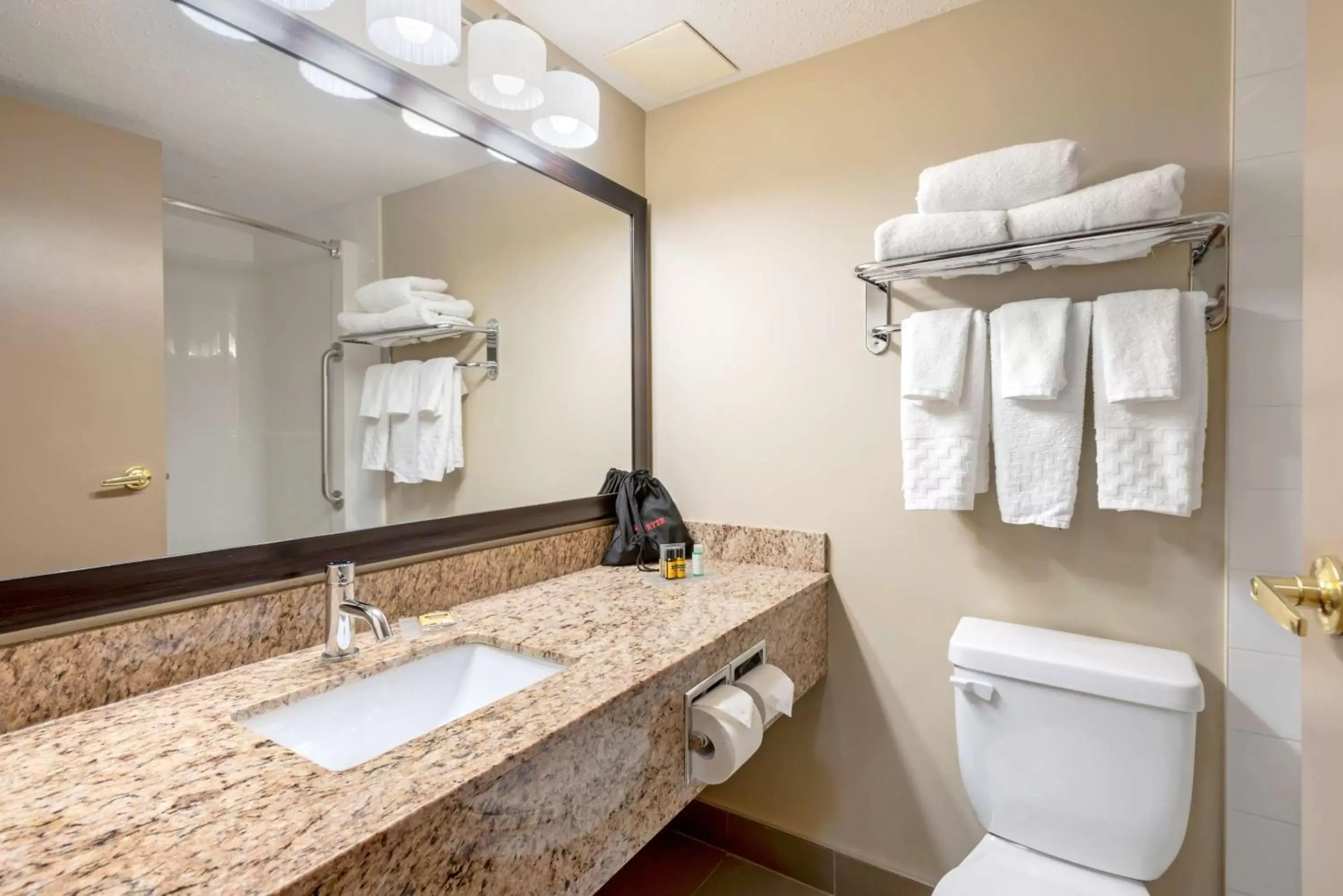 Bathroom in Best Western Plus Red Deer Inn & Suite