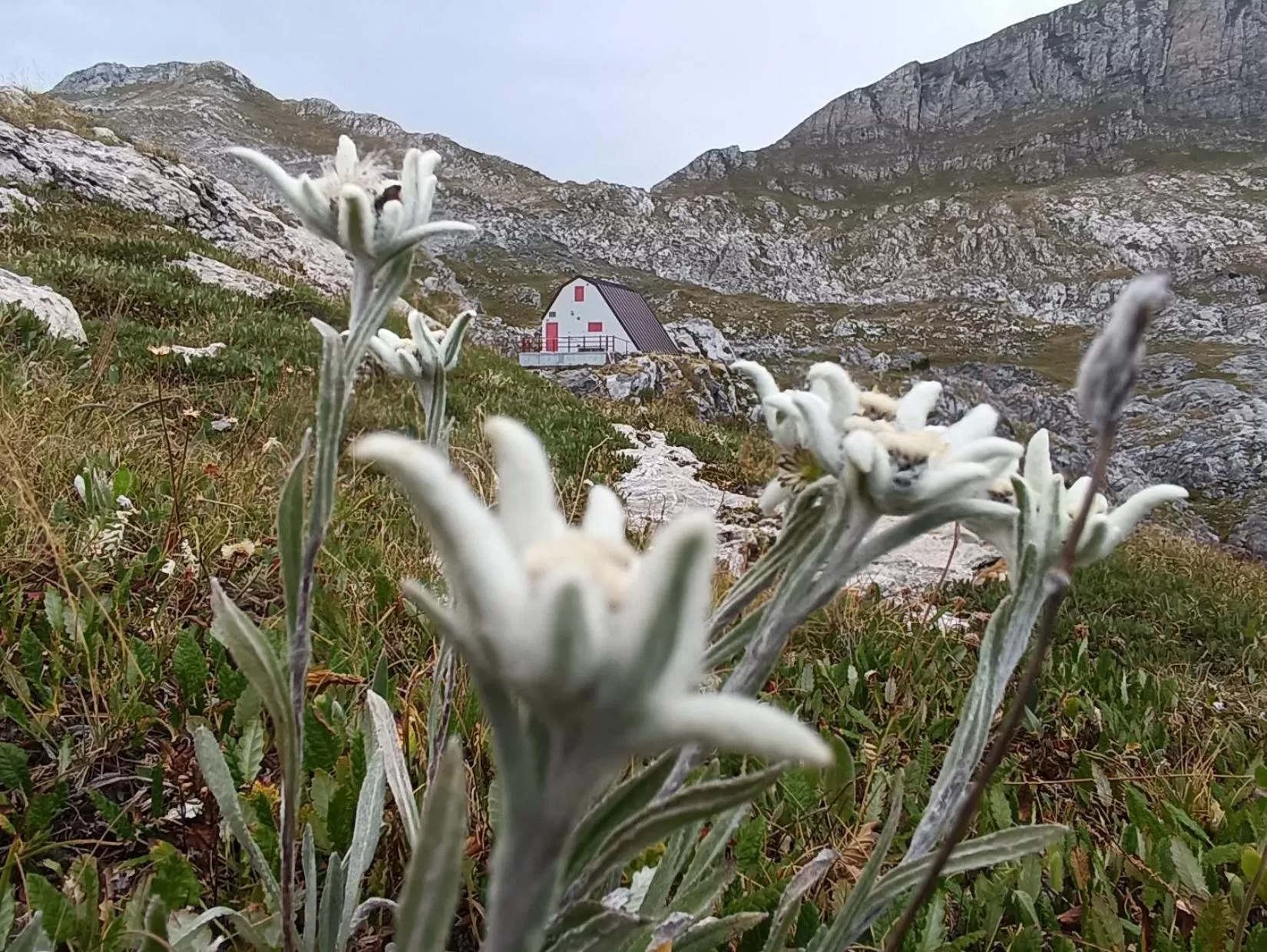 Property Building in La Cà ët Mec