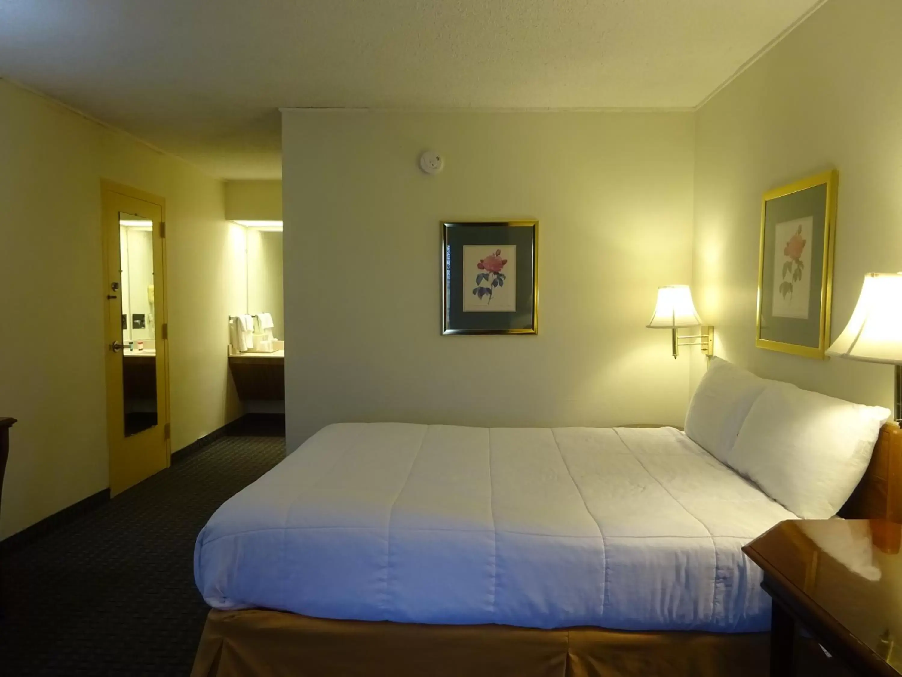 Bed in SureStay by Best Western Victoria