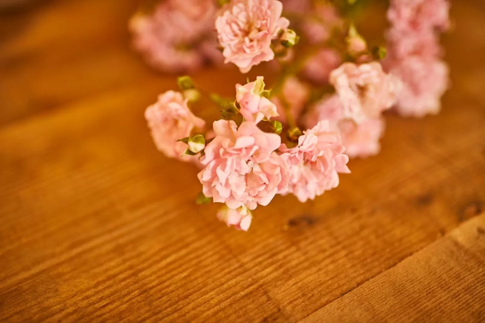 Other in Rochter Landhotel