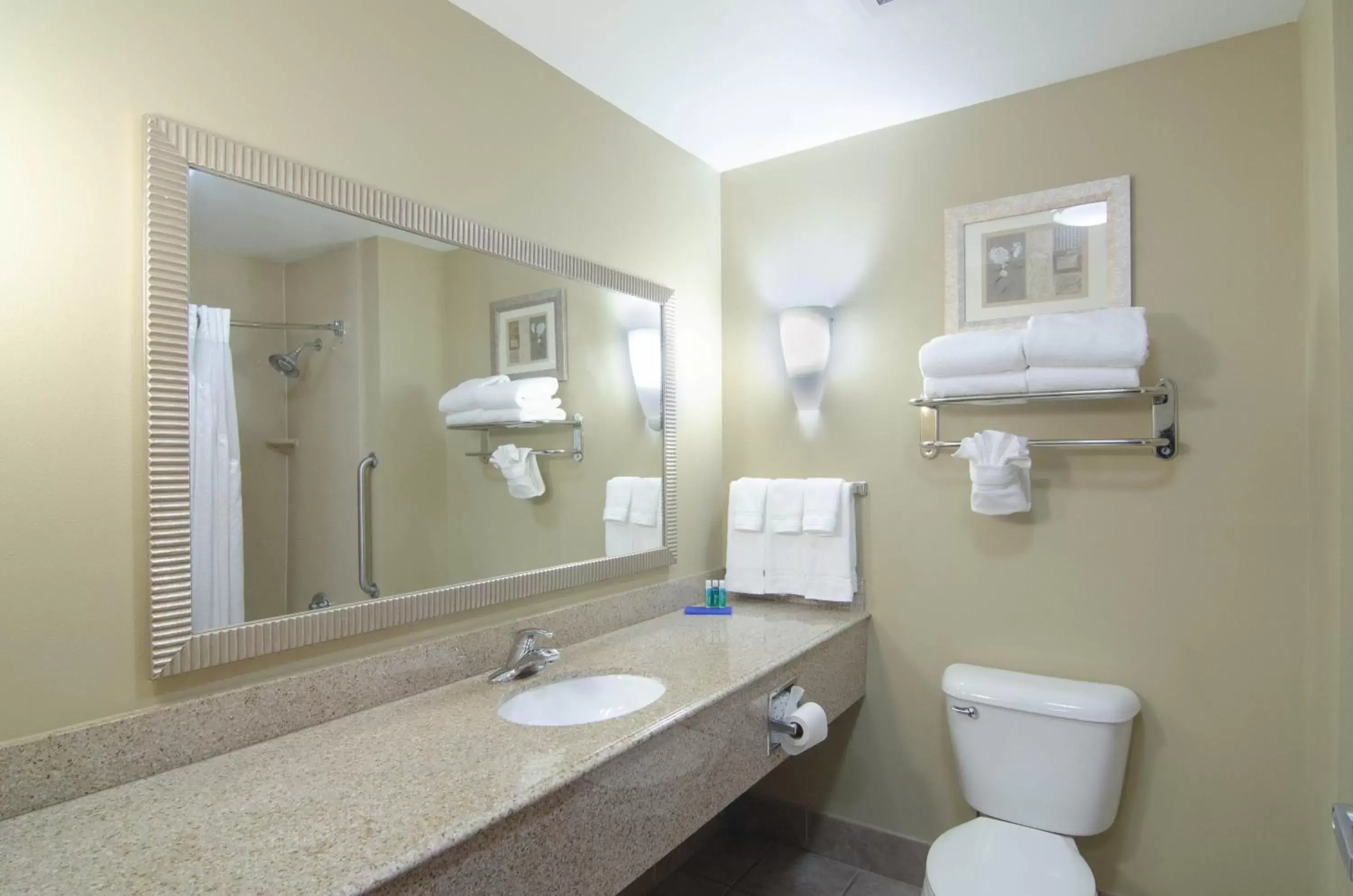 Bathroom in Springdale Inn & Suites