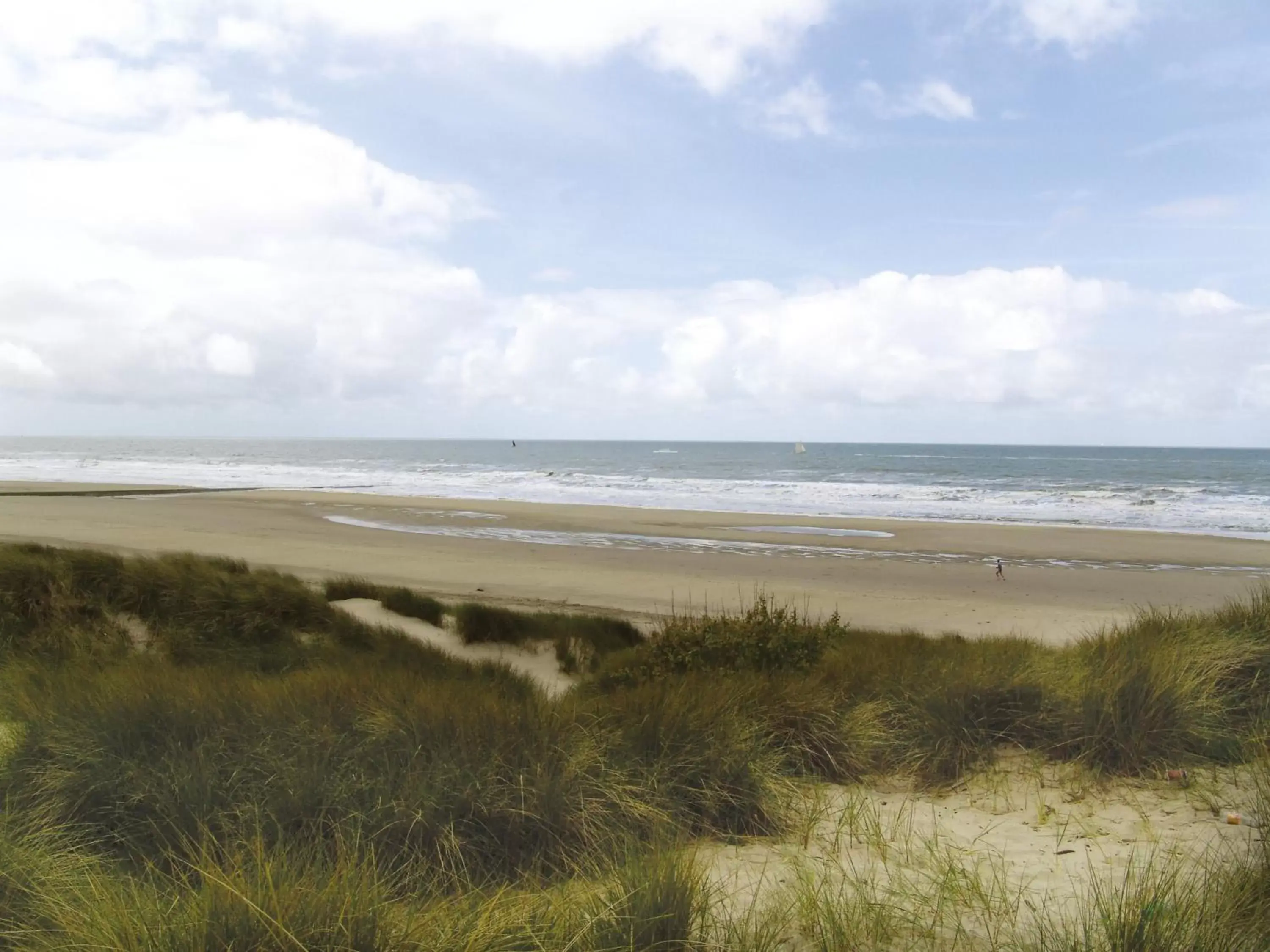 Area and facilities, Beach in Beachhotel Zandvoort by Center Parcs