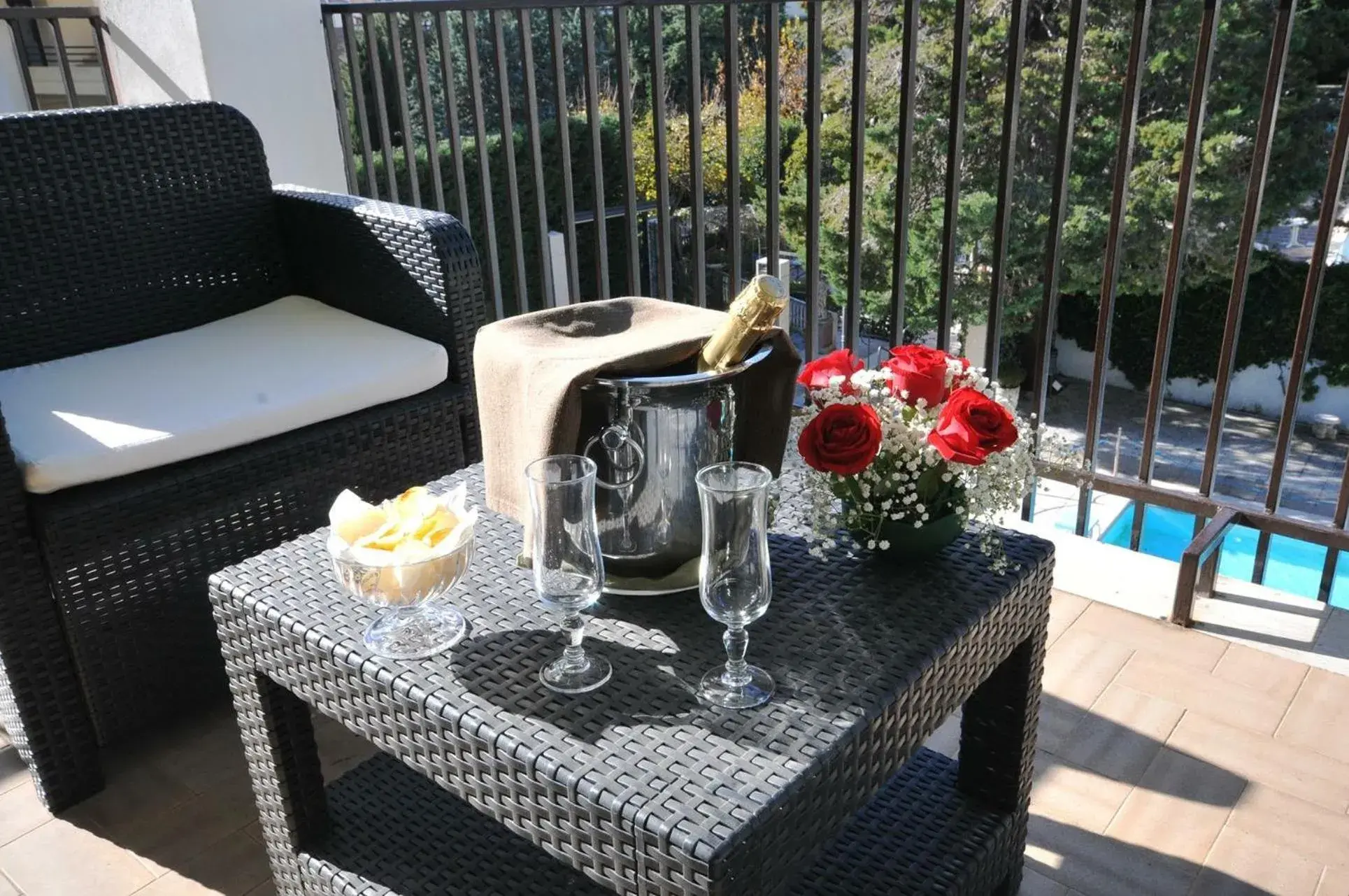 Balcony/Terrace in Hotel Parco Delle Rose