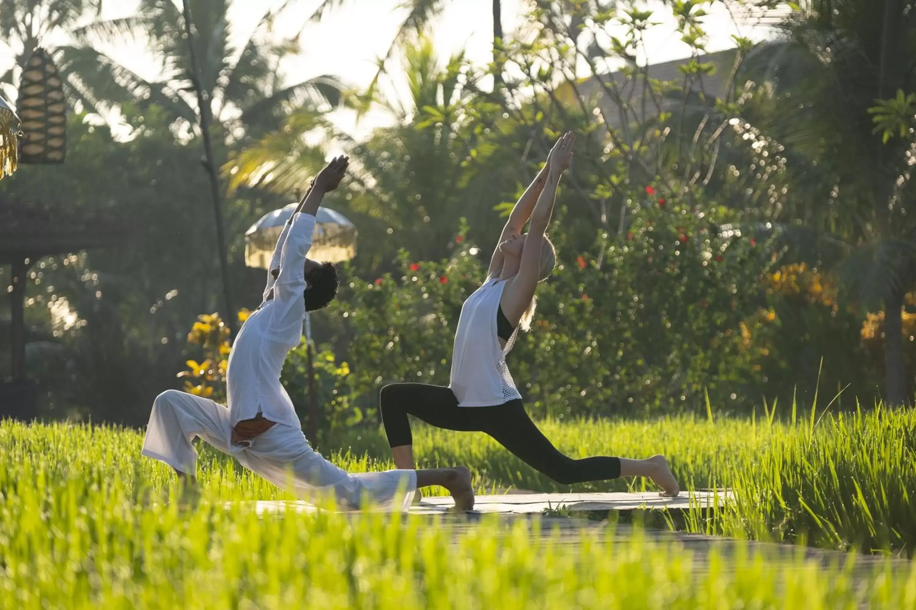 Activities in Alaya Resort Ubud