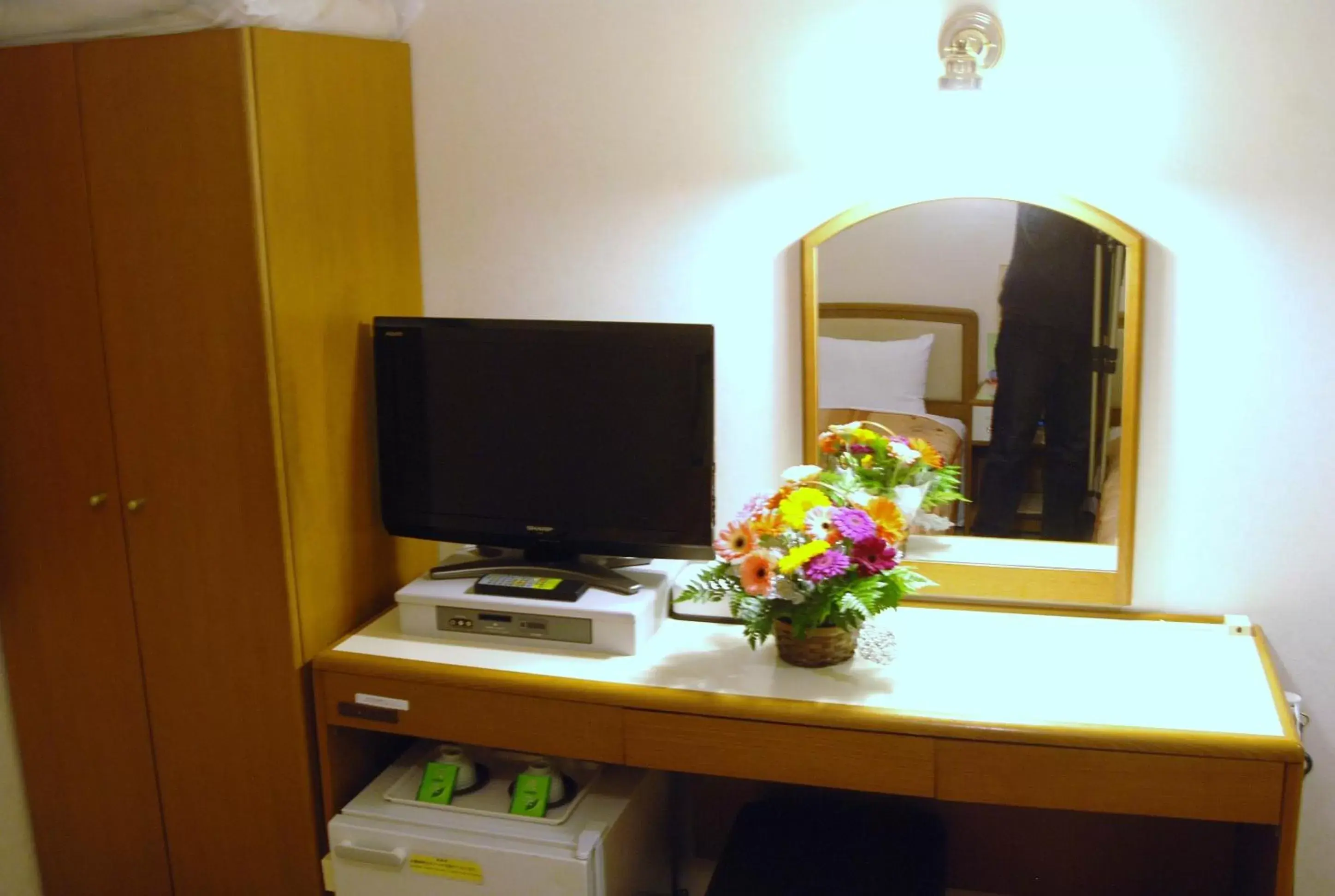 Photo of the whole room, TV/Entertainment Center in Business Hotel Nissei