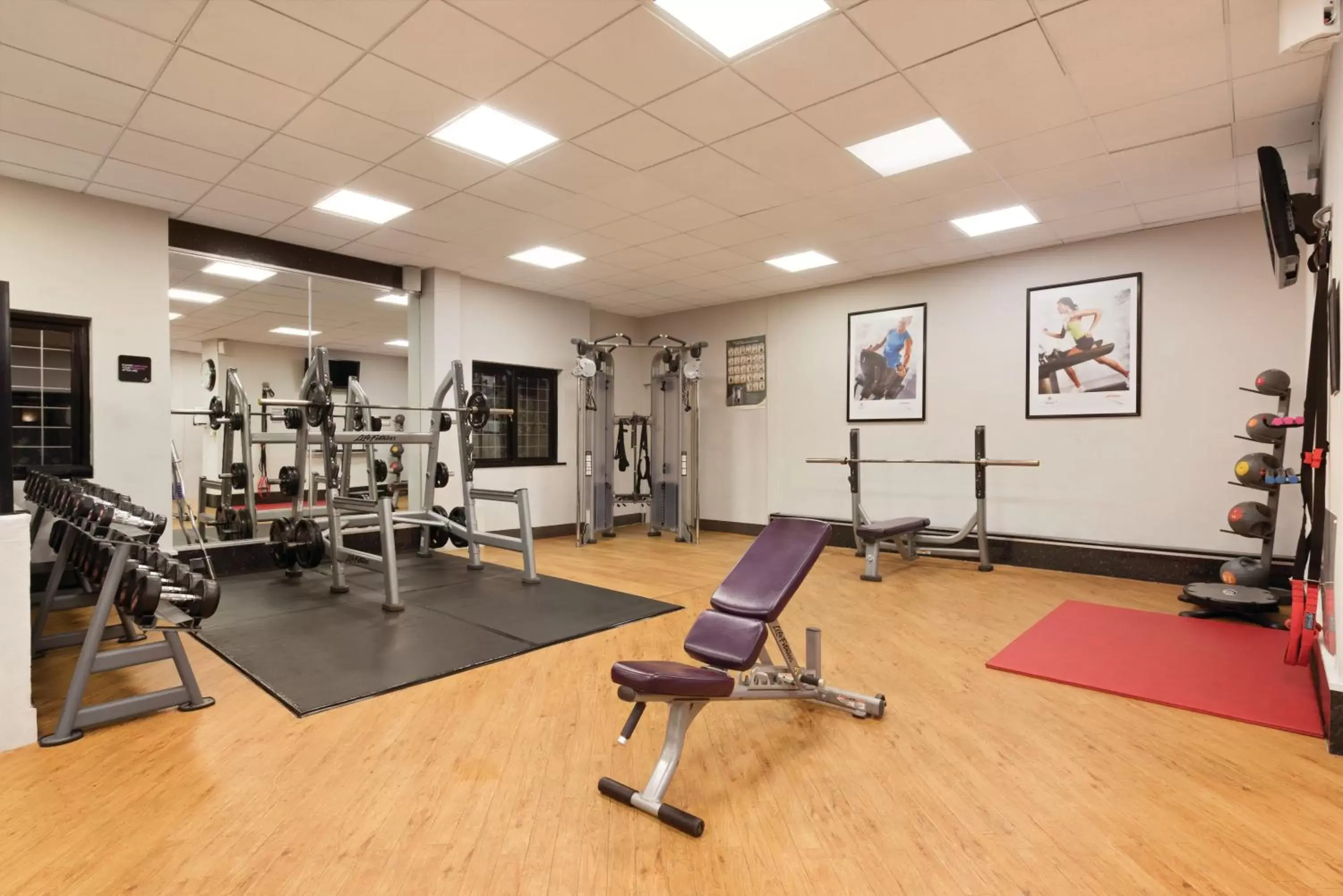 Fitness centre/facilities, Fitness Center/Facilities in Cwrt Bleddyn Hotel & Spa