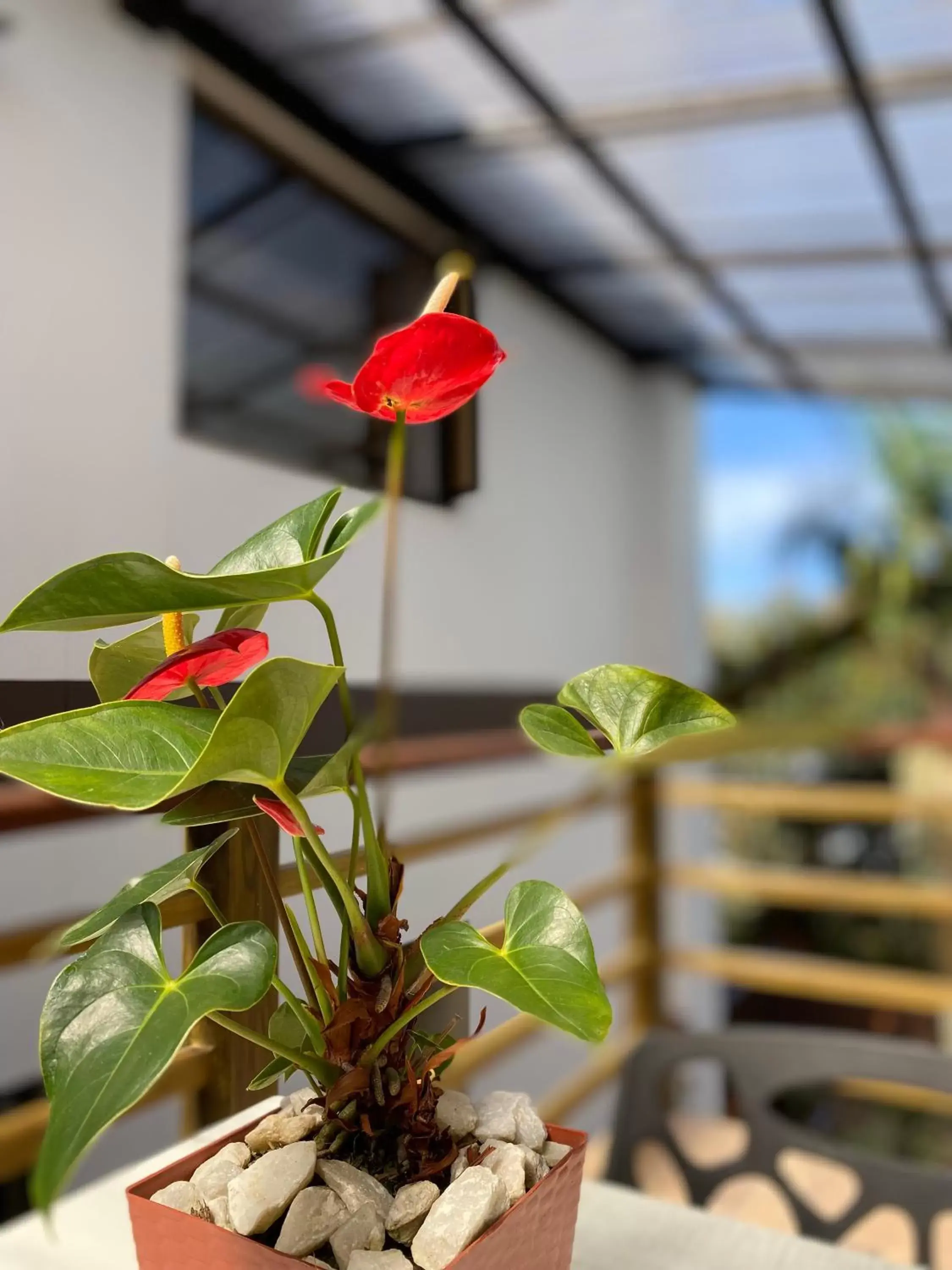 Standard Double Room in Hotel Campo Real Standard Double Room in Hotel Campo Real