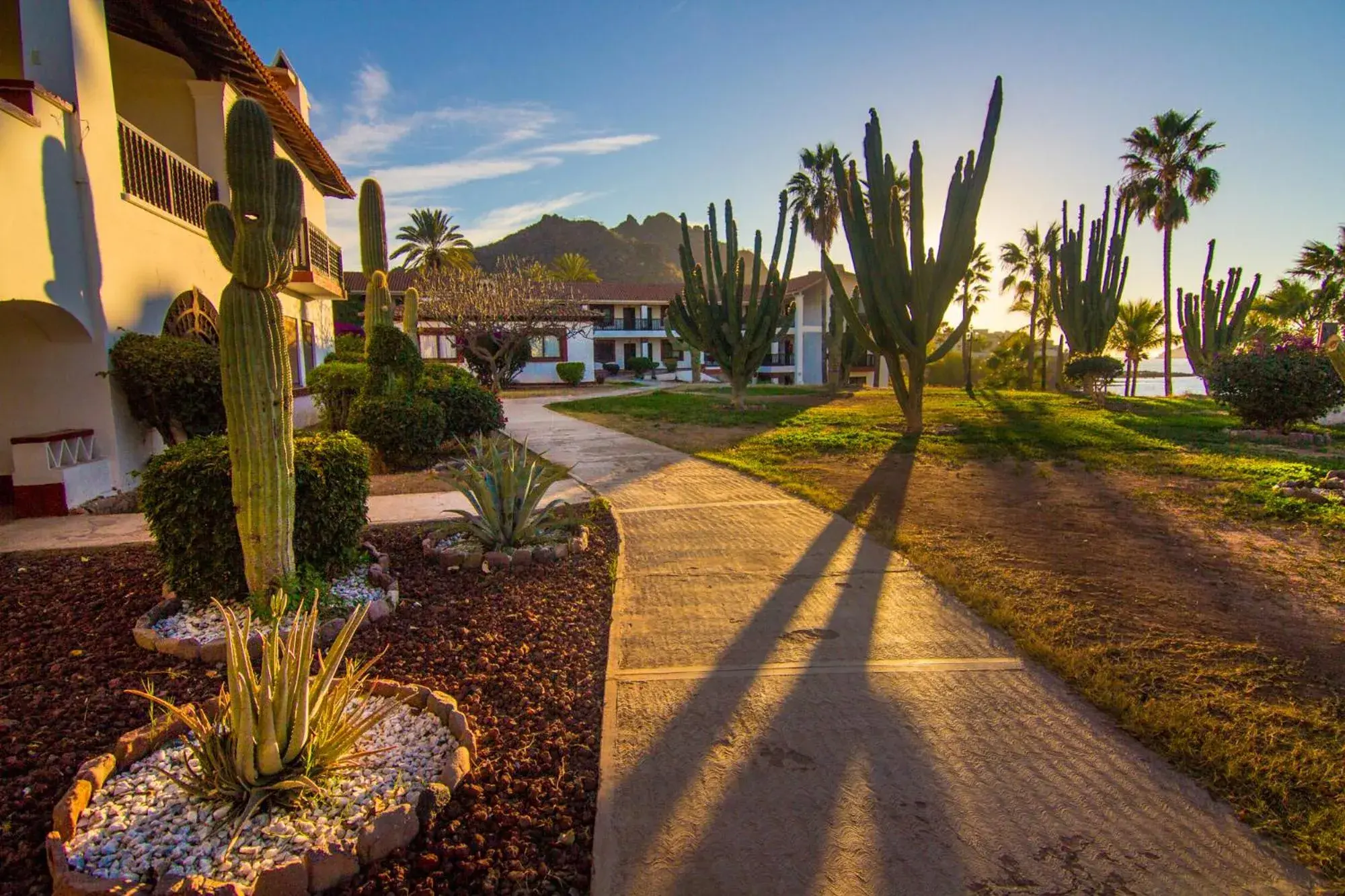 Garden in Hotel Playa de Cortes