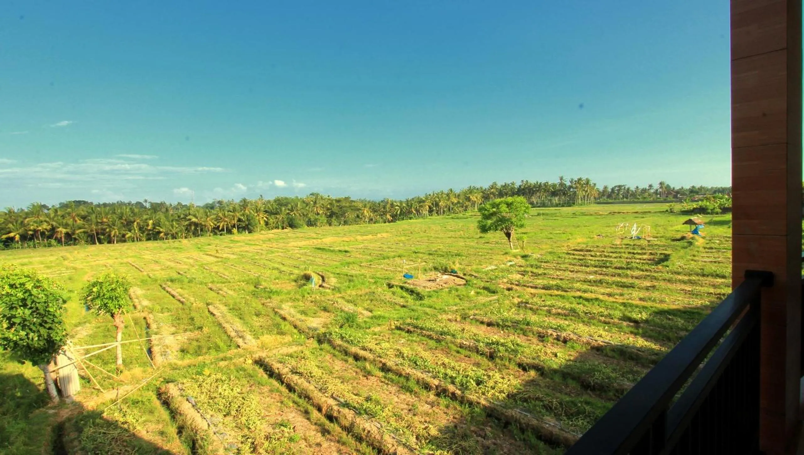 View (from property/room) in Ubud Canti Accommodation