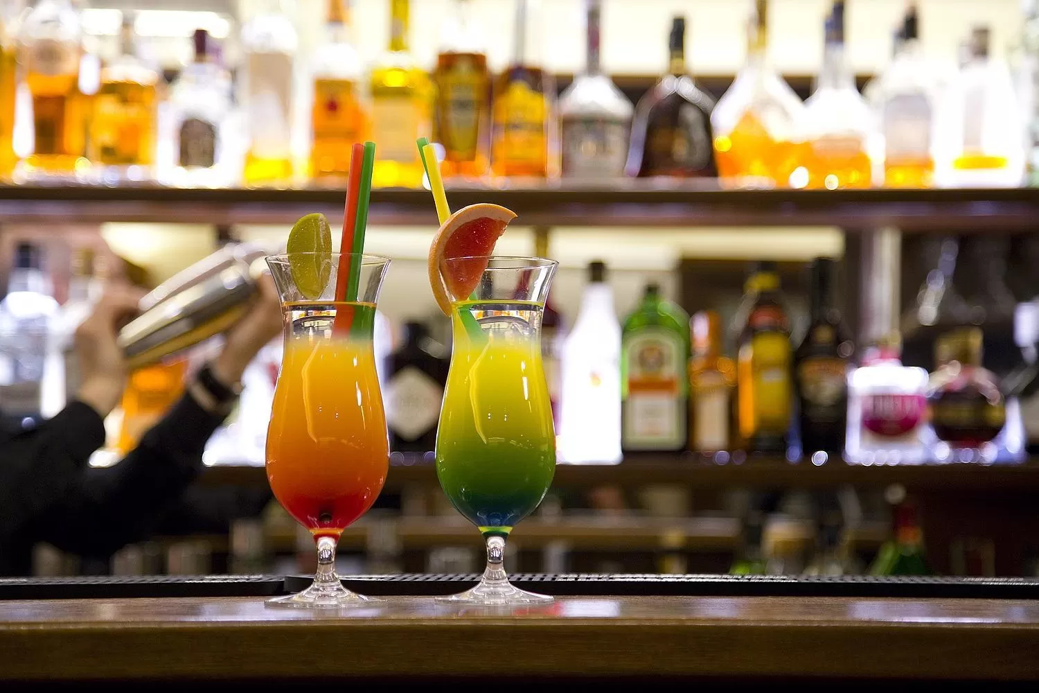 Lounge or bar in Columna Medica