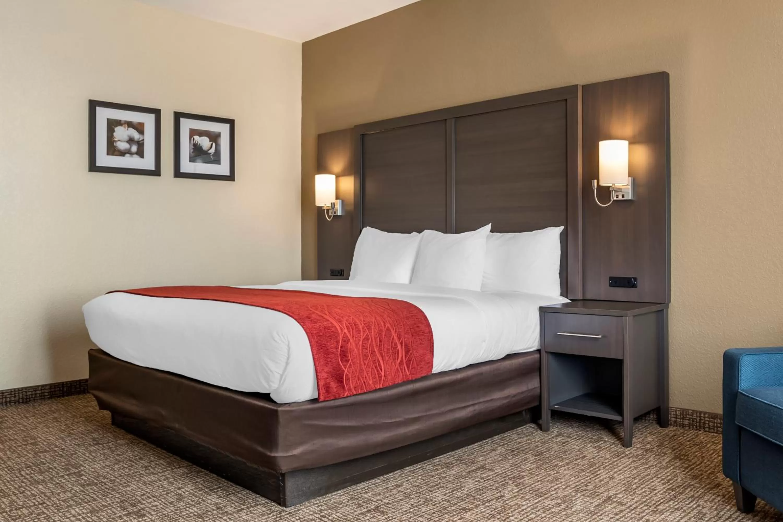 King Suite with Mobility Accessible - Accessible/Non-Smoking in Comfort Inn & Suites Millbrook-Prattville