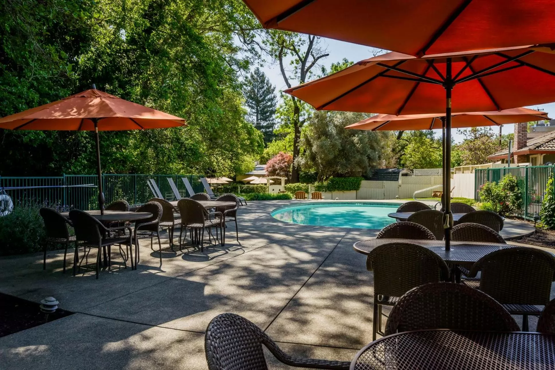 Swimming pool in The Jack London Lodge