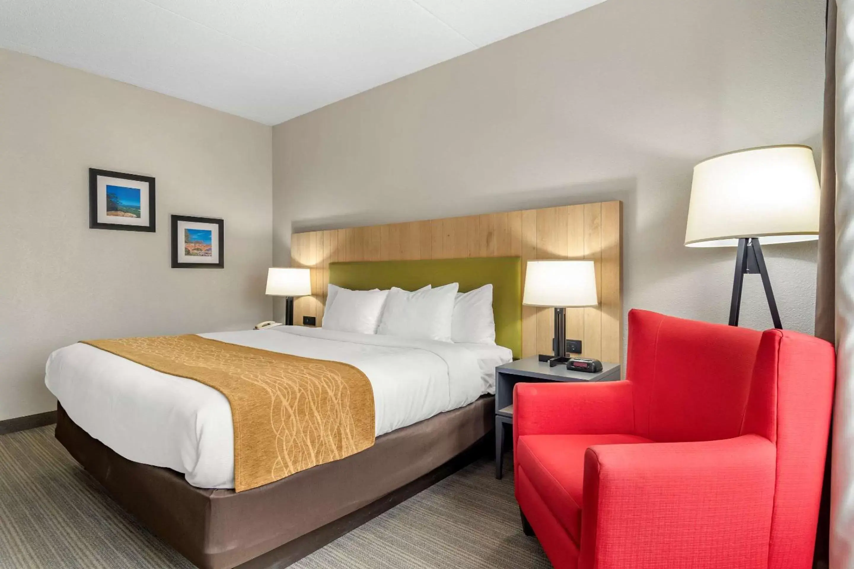 Photo of the whole room, Bed in Comfort Inn & Suites Calhoun South