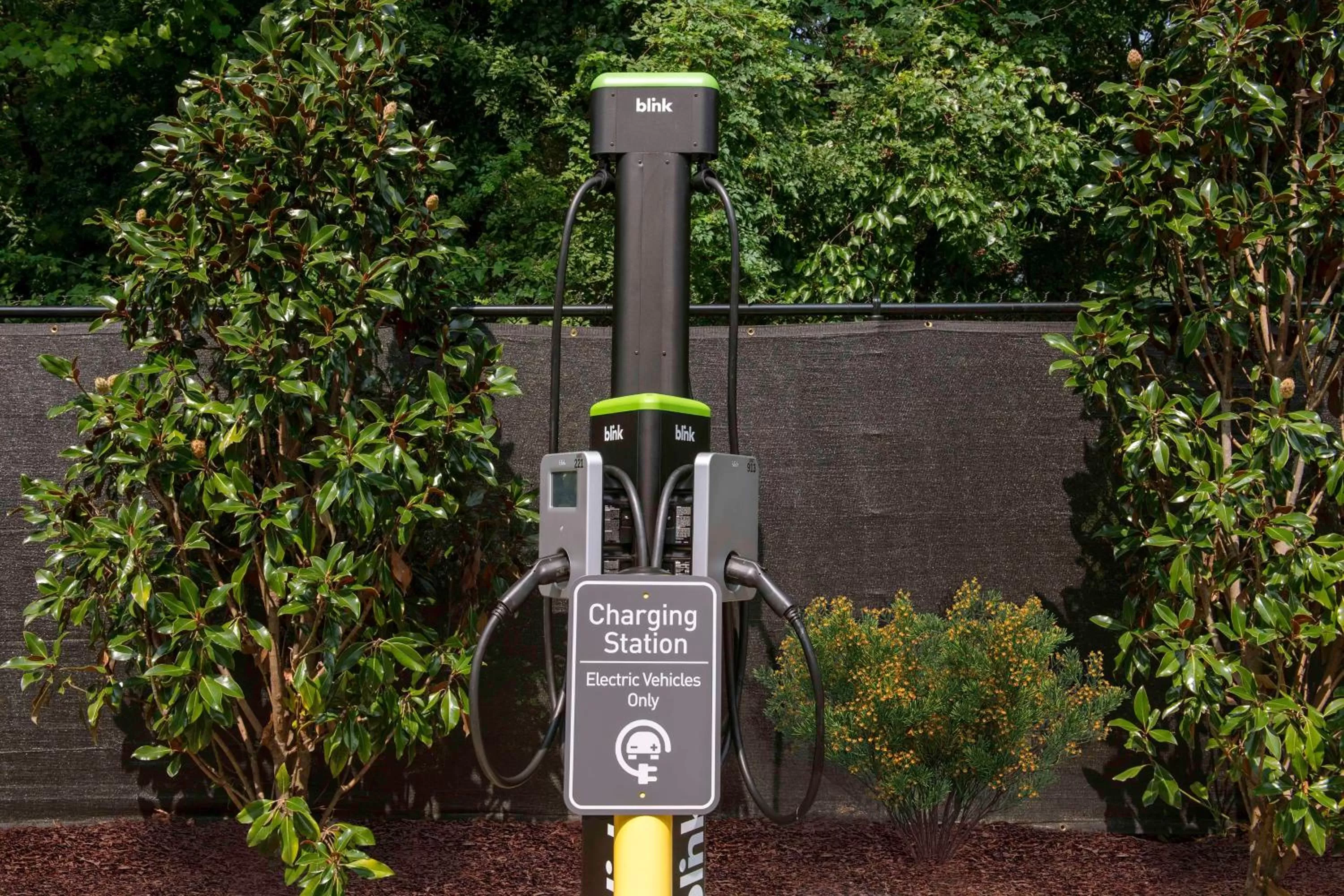 Property building in Homewood Suites By Hilton Greenville, NC