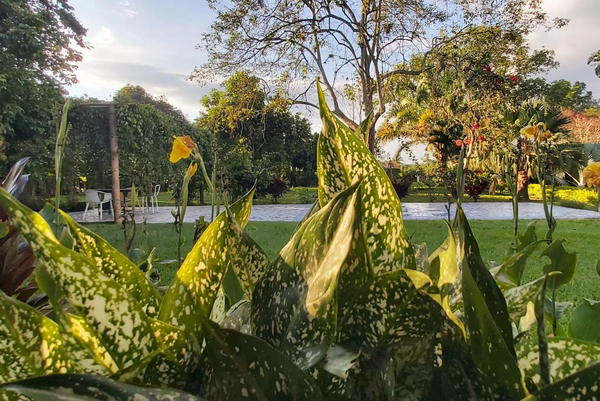 Garden in Balsora Hotel Boutique