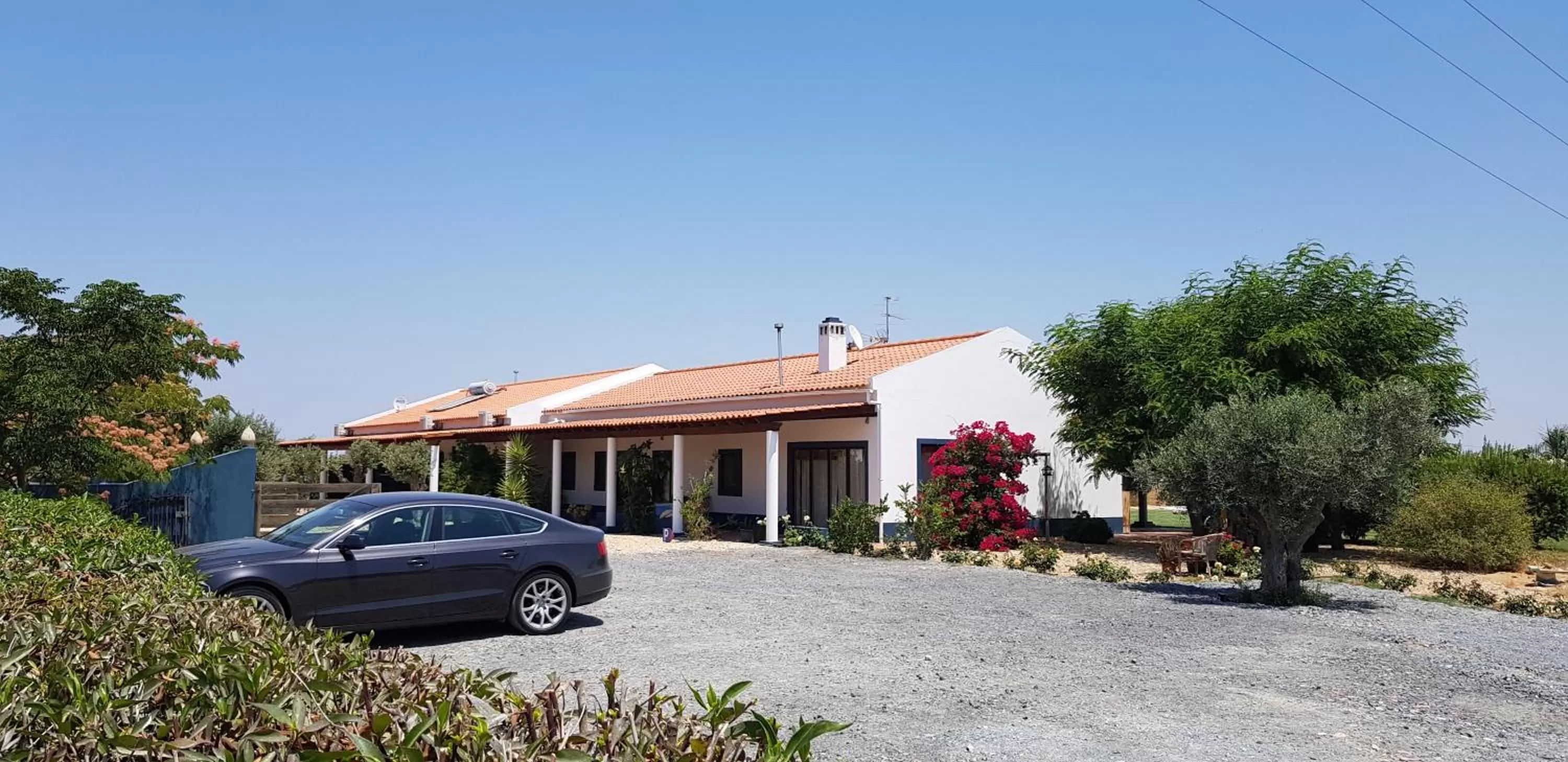 Trendy and Luxe B&B and Garden Suite