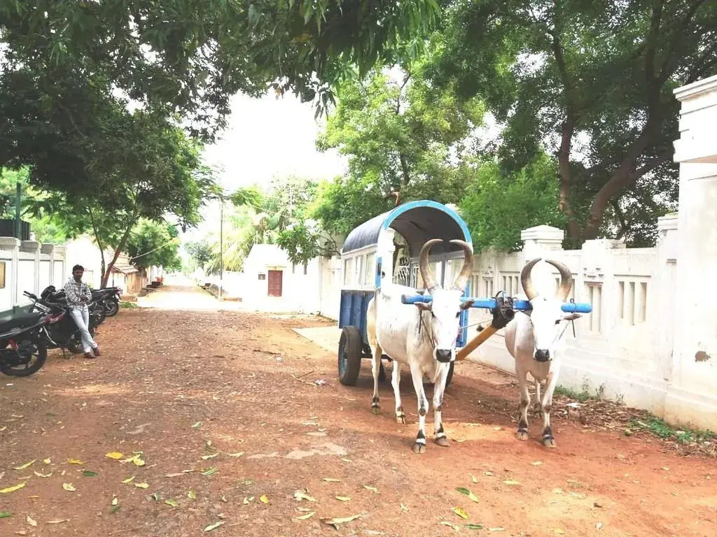 Pets in Chettinadu Mansion – An Authentic Heritage Palace