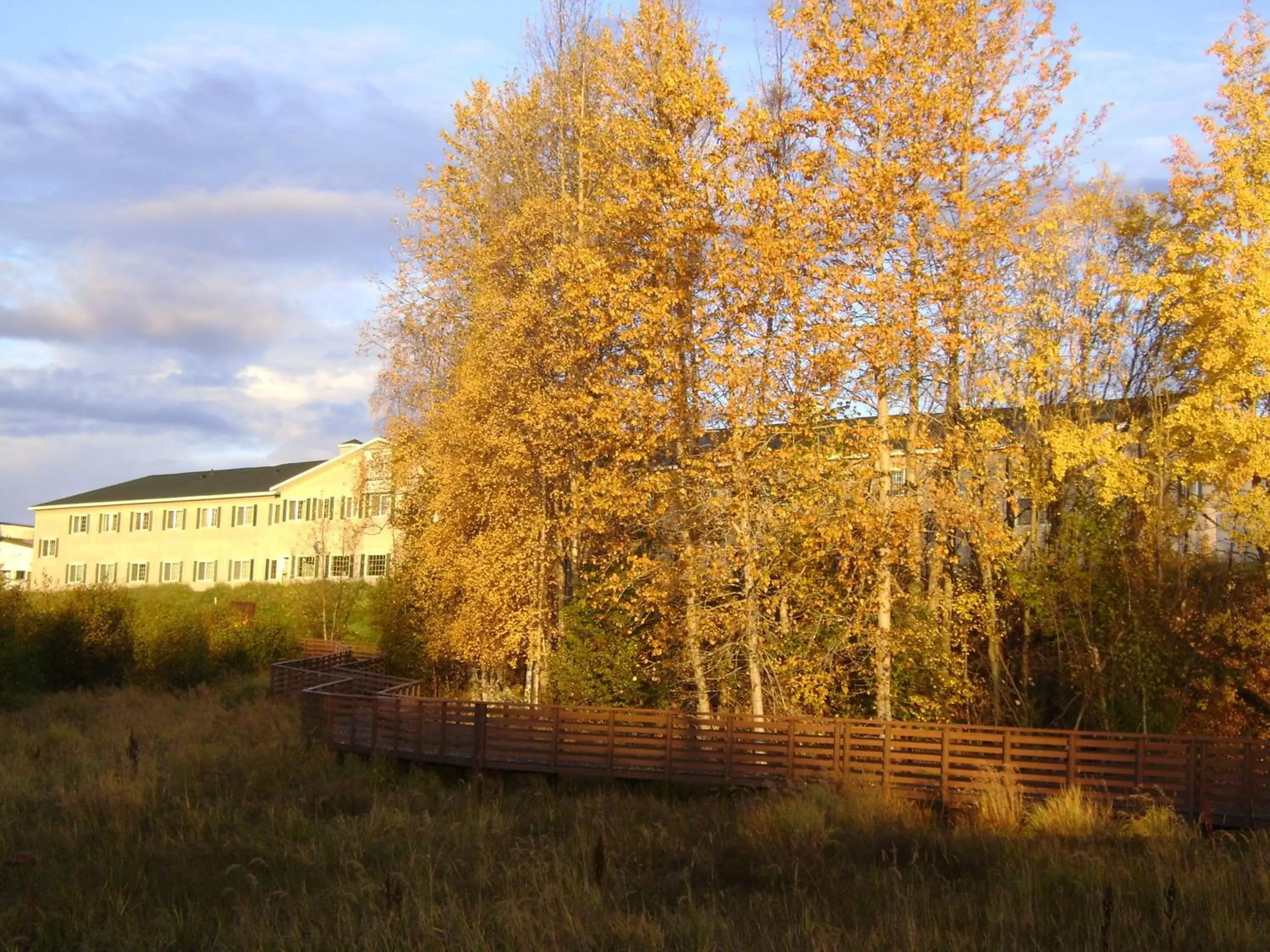 Area and facilities in Aspen Hotel