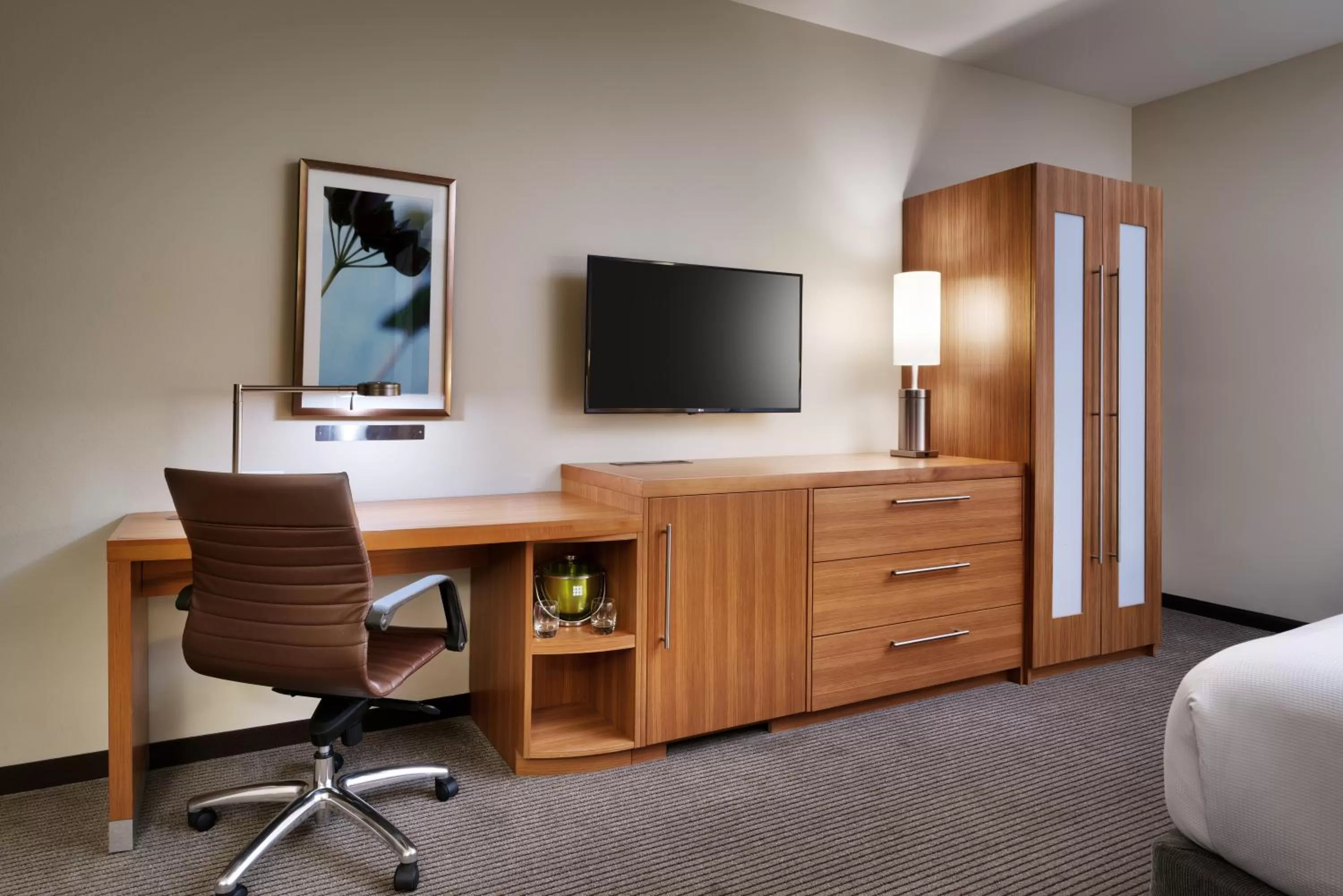 TV and multimedia in Hyatt Place Boise/Downtown