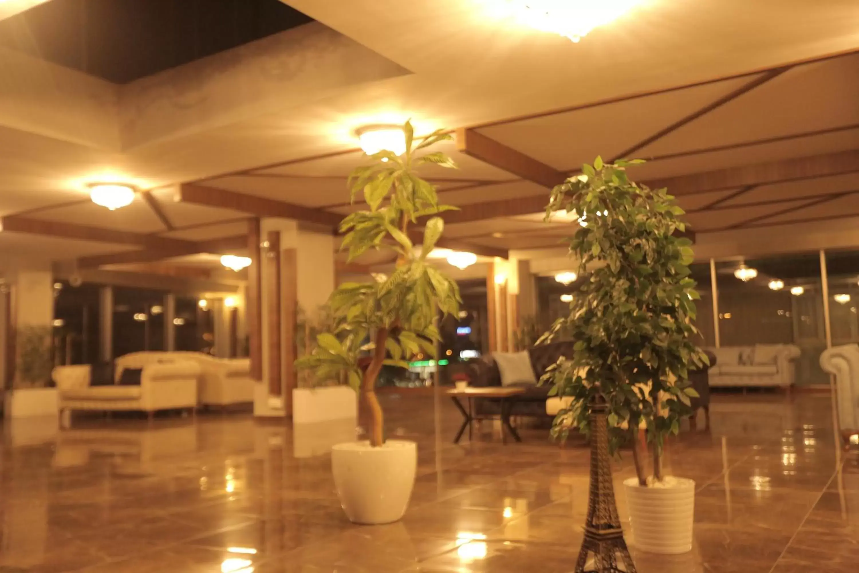 Lobby or reception, Restaurant/Places to Eat in TEVETOGLU HOTEL