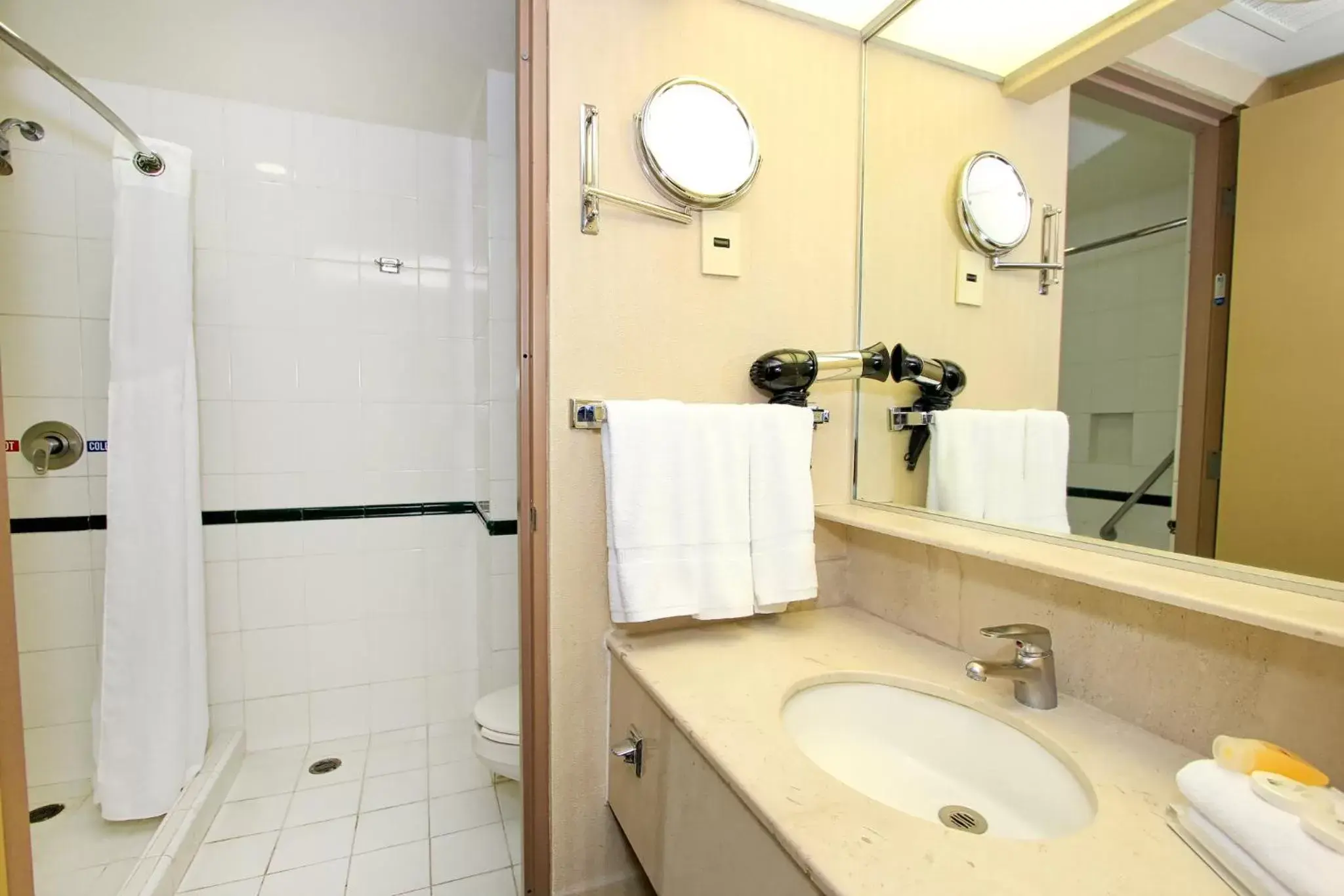 Bathroom in Holiday Inn Leon-Convention Center, an IHG Hotel