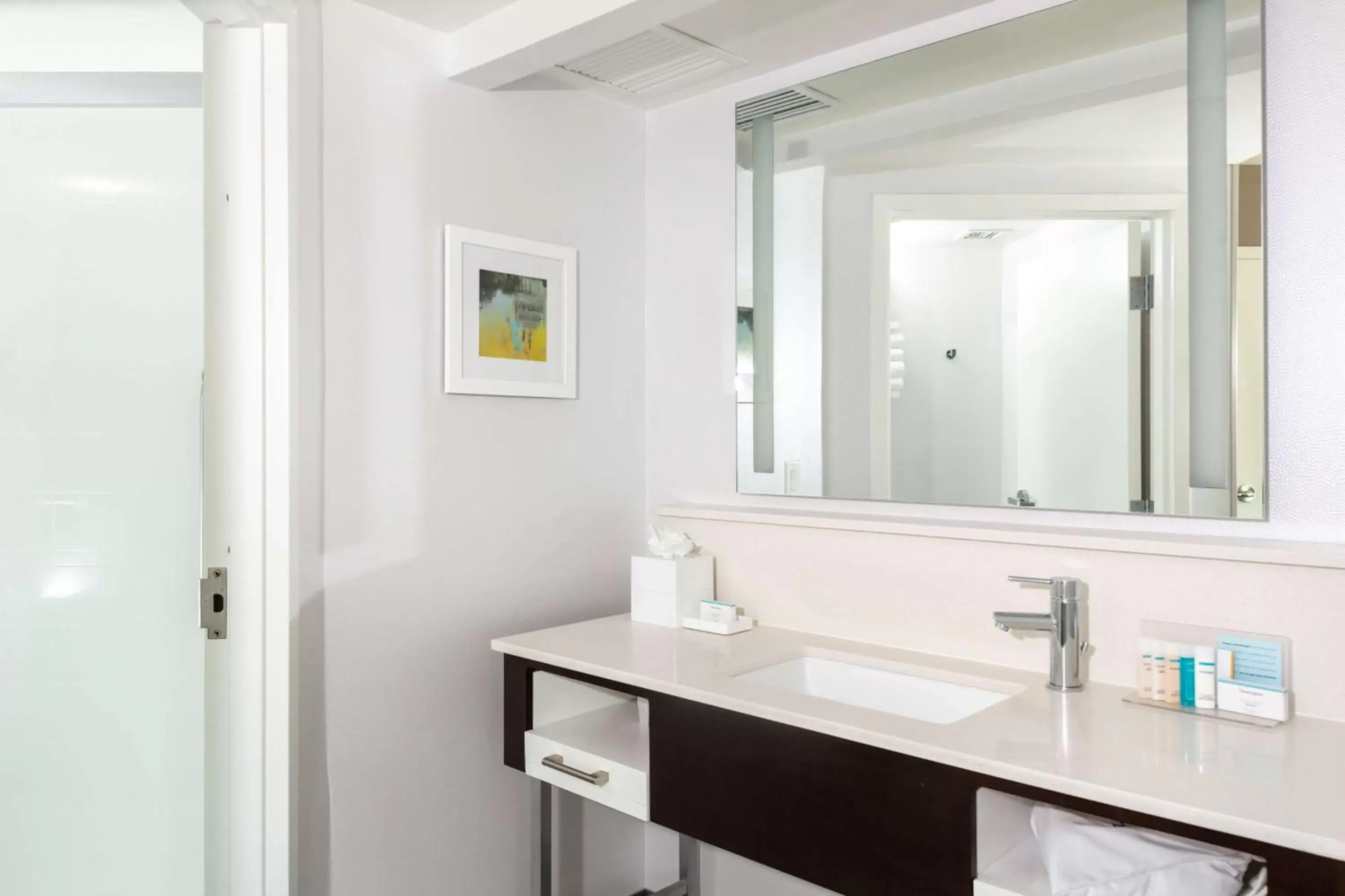 Bathroom in Hampton Inn & Suites Arlington Crystal City DCA