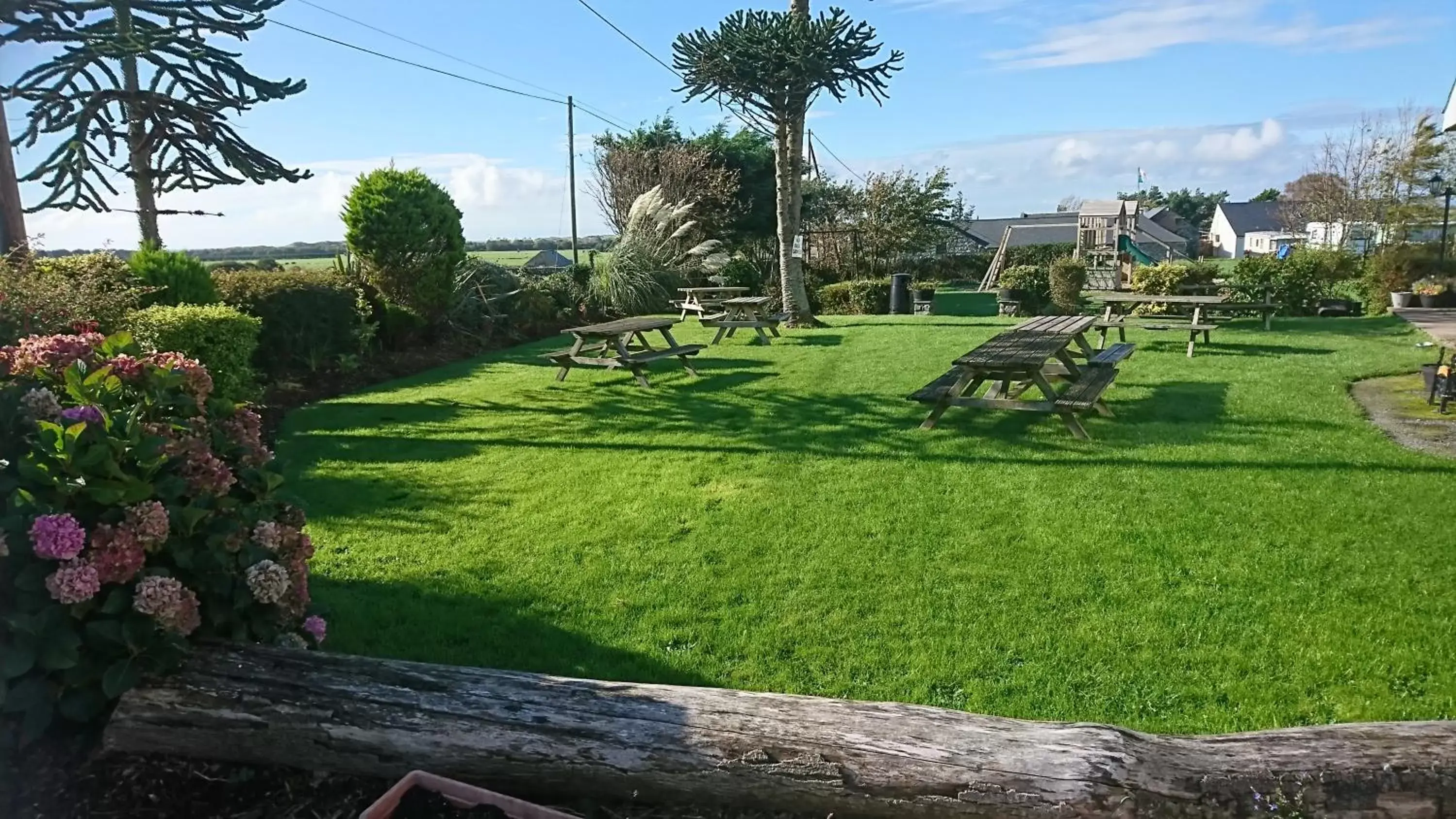 Garden in Cadwgan House