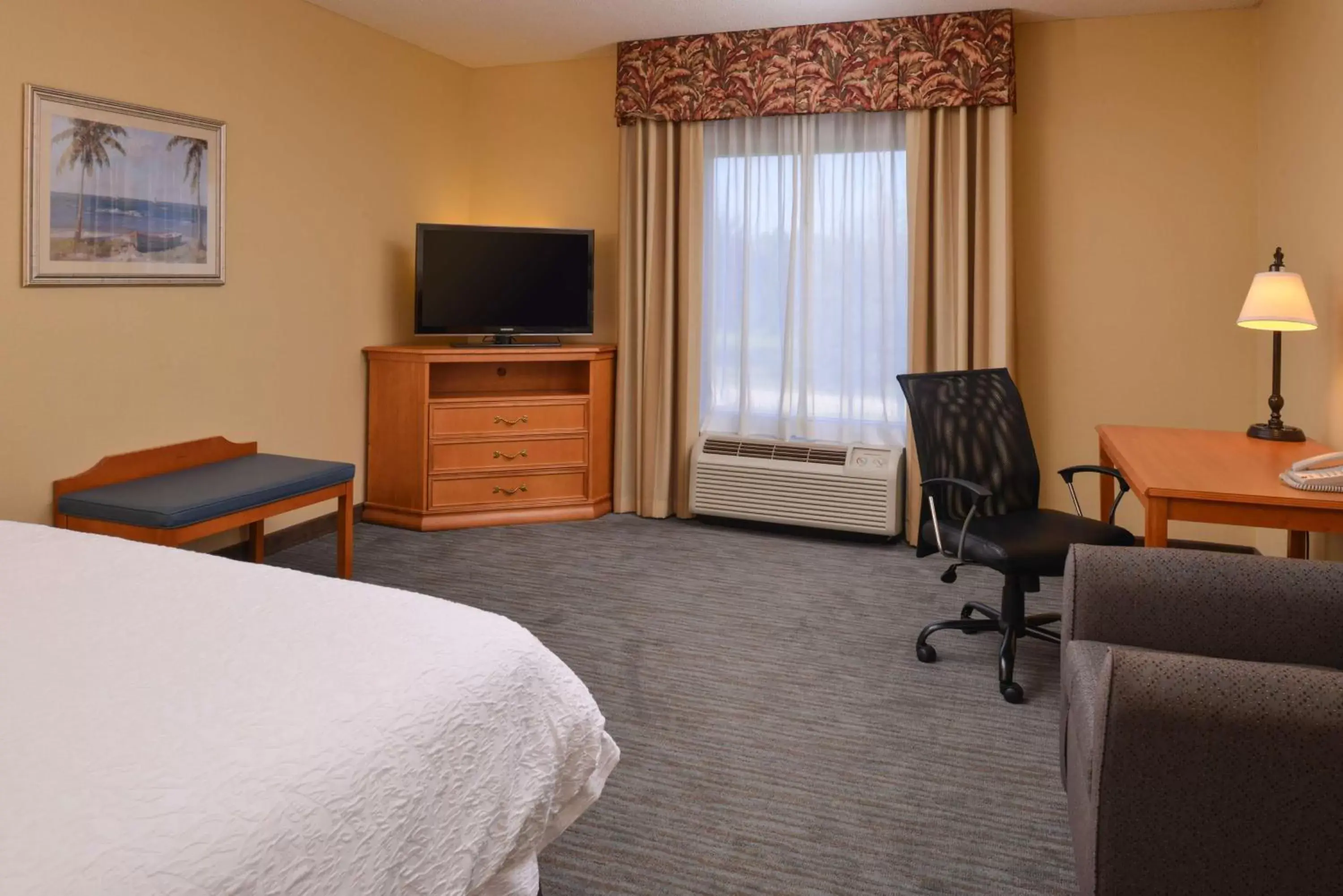 Bed, TV/Entertainment Center in Hampton Inn & Suites Tampa-East/Casino/Fairgrounds