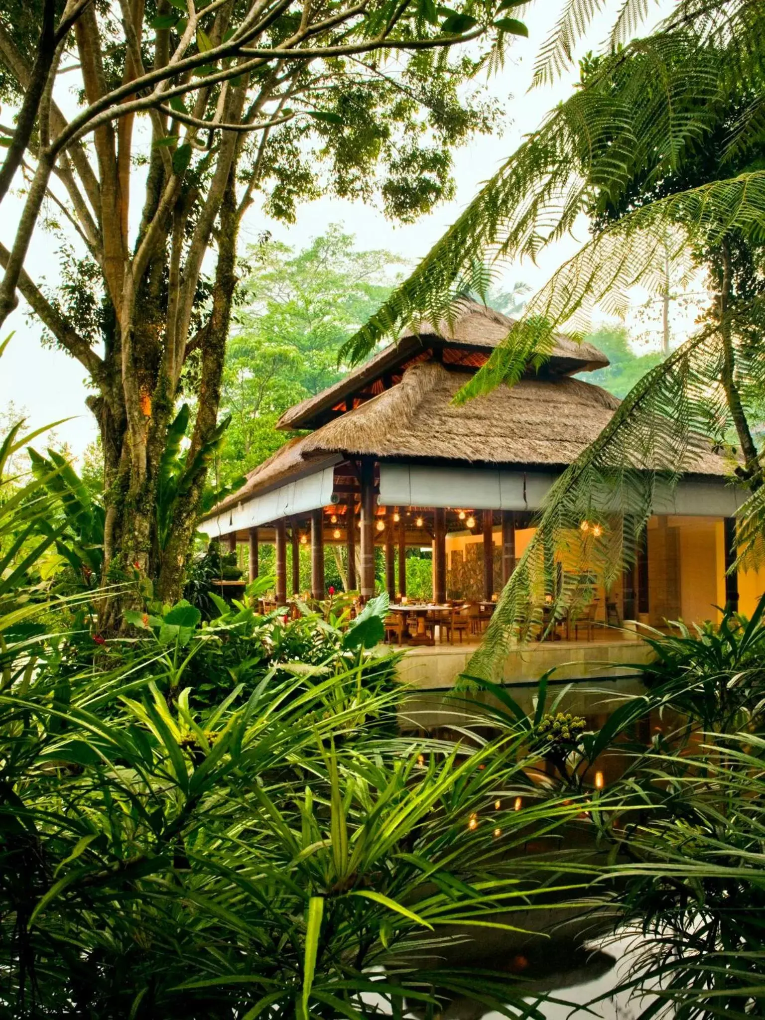 Restaurant/places to eat in COMO Uma Ubud Restaurant/places to eat in COMO Uma Ubud