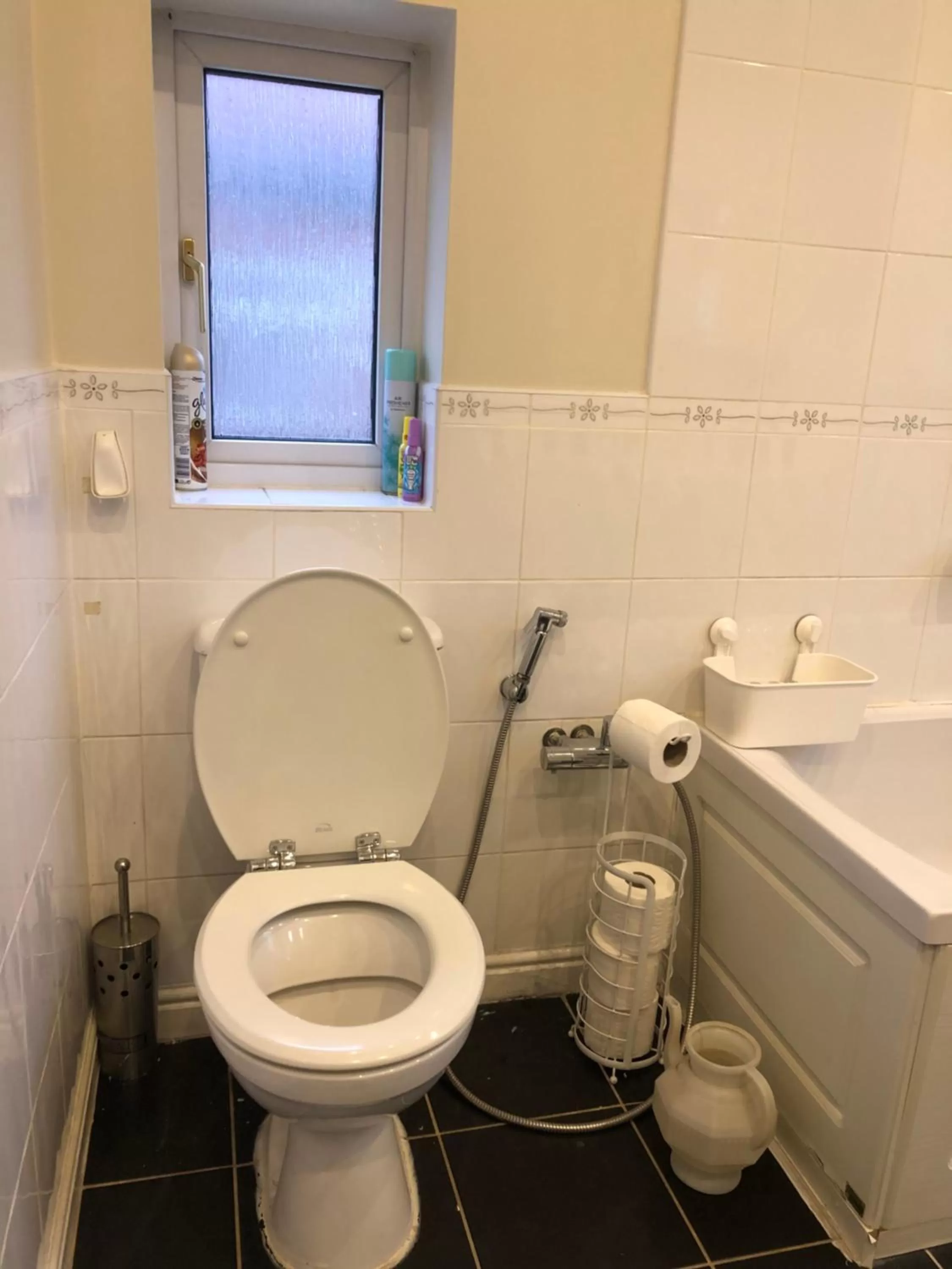 Toilet in Lyndon B&B