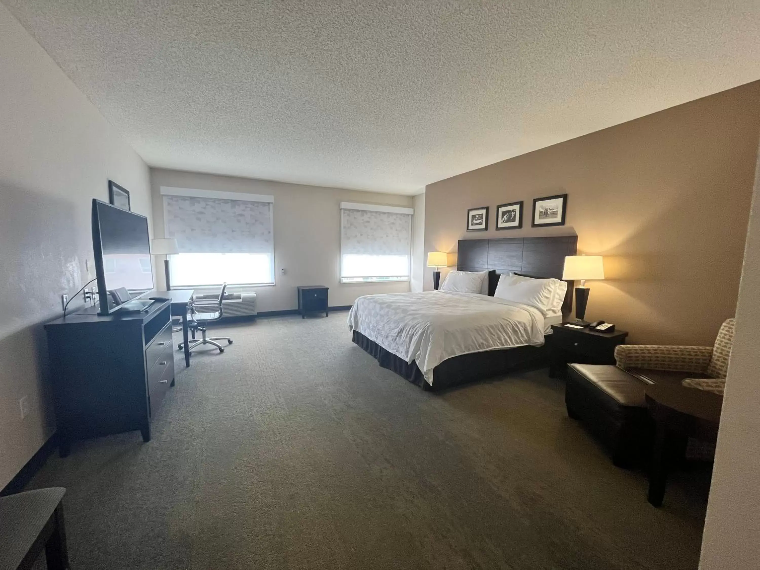 Bedroom in Holiday Inn Louisville Airport - Fair/Expo, an IHG Hotel