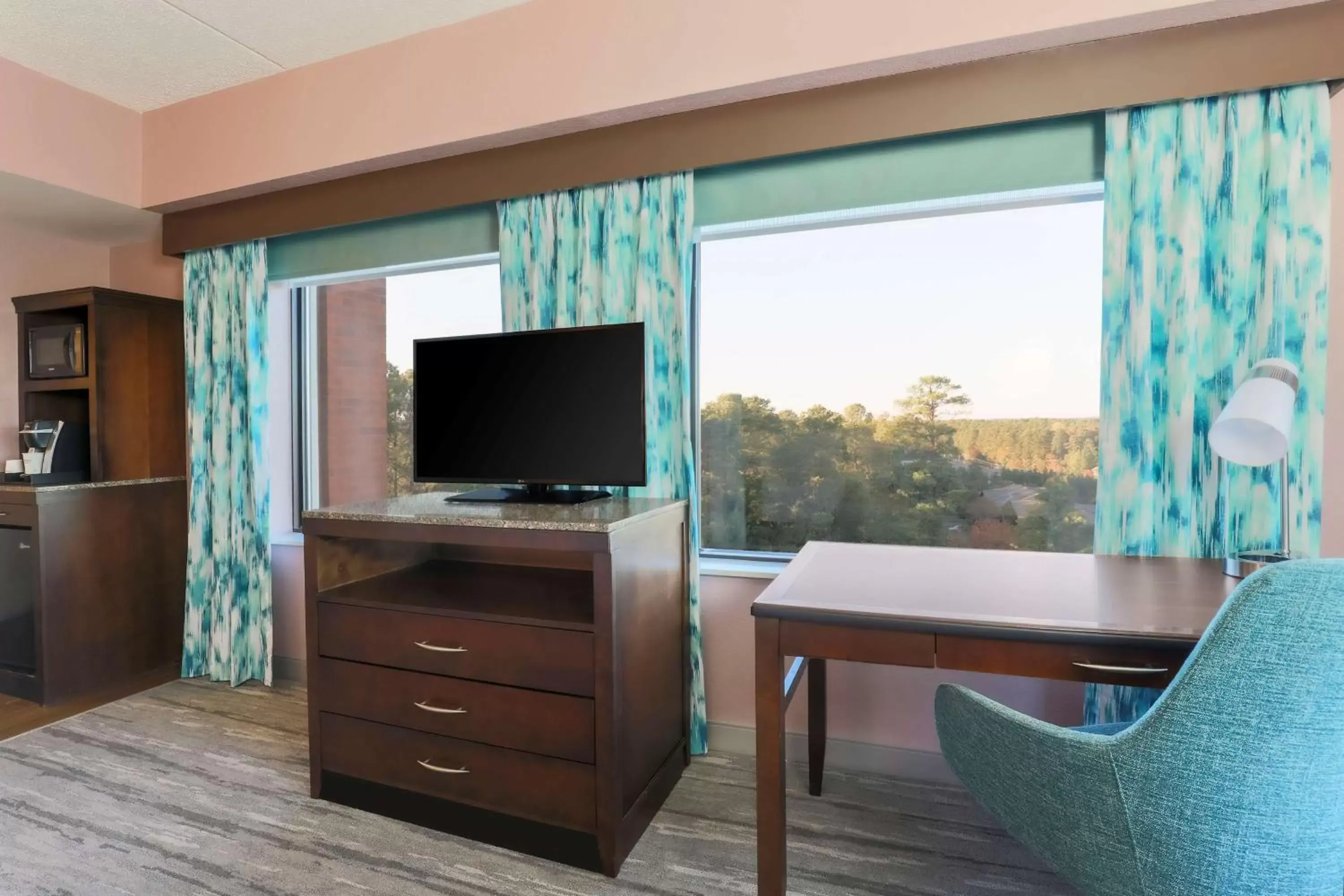 Bedroom, TV/Entertainment Center in Hilton Garden Inn Raleigh-Durham/Research Triangle Park