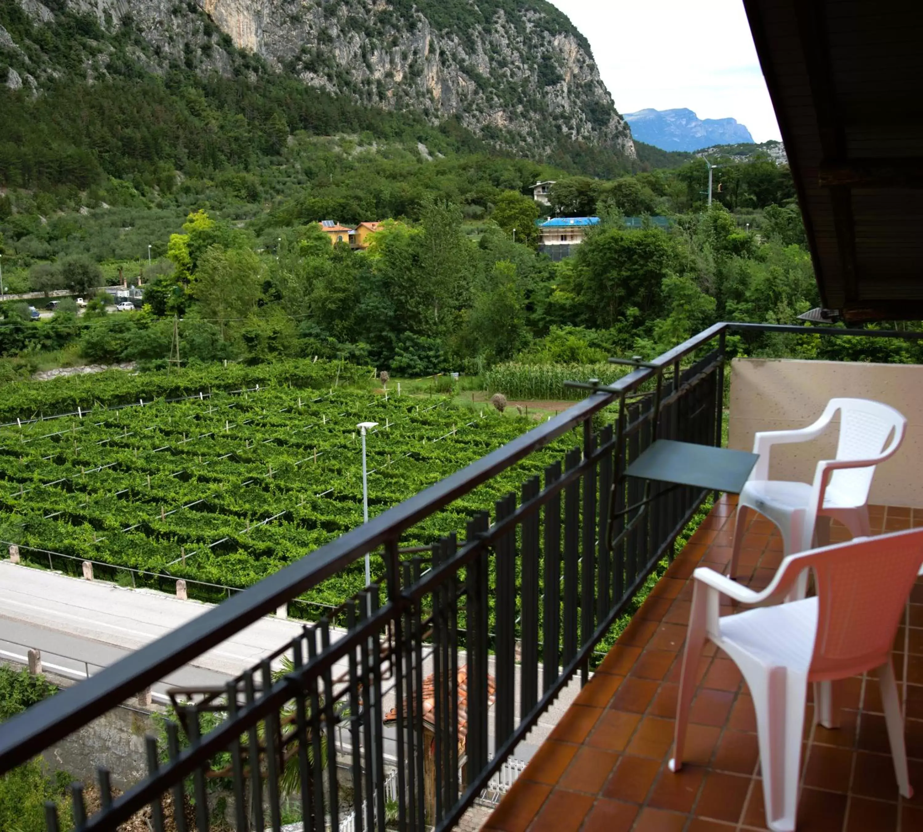 Balcony/Terrace in Hotel Miramonti