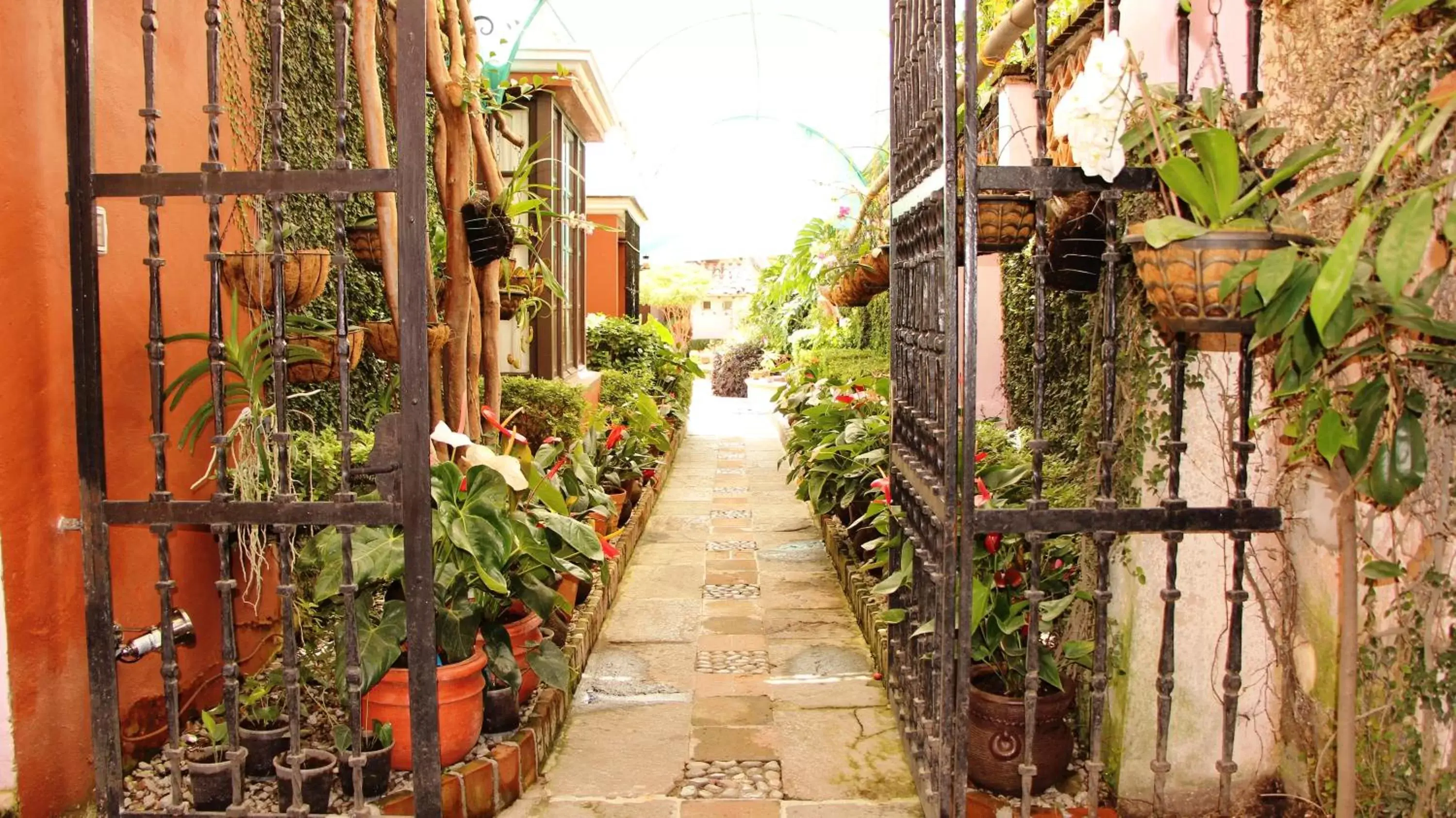 Patio in Villa Bonita Les Terrasses