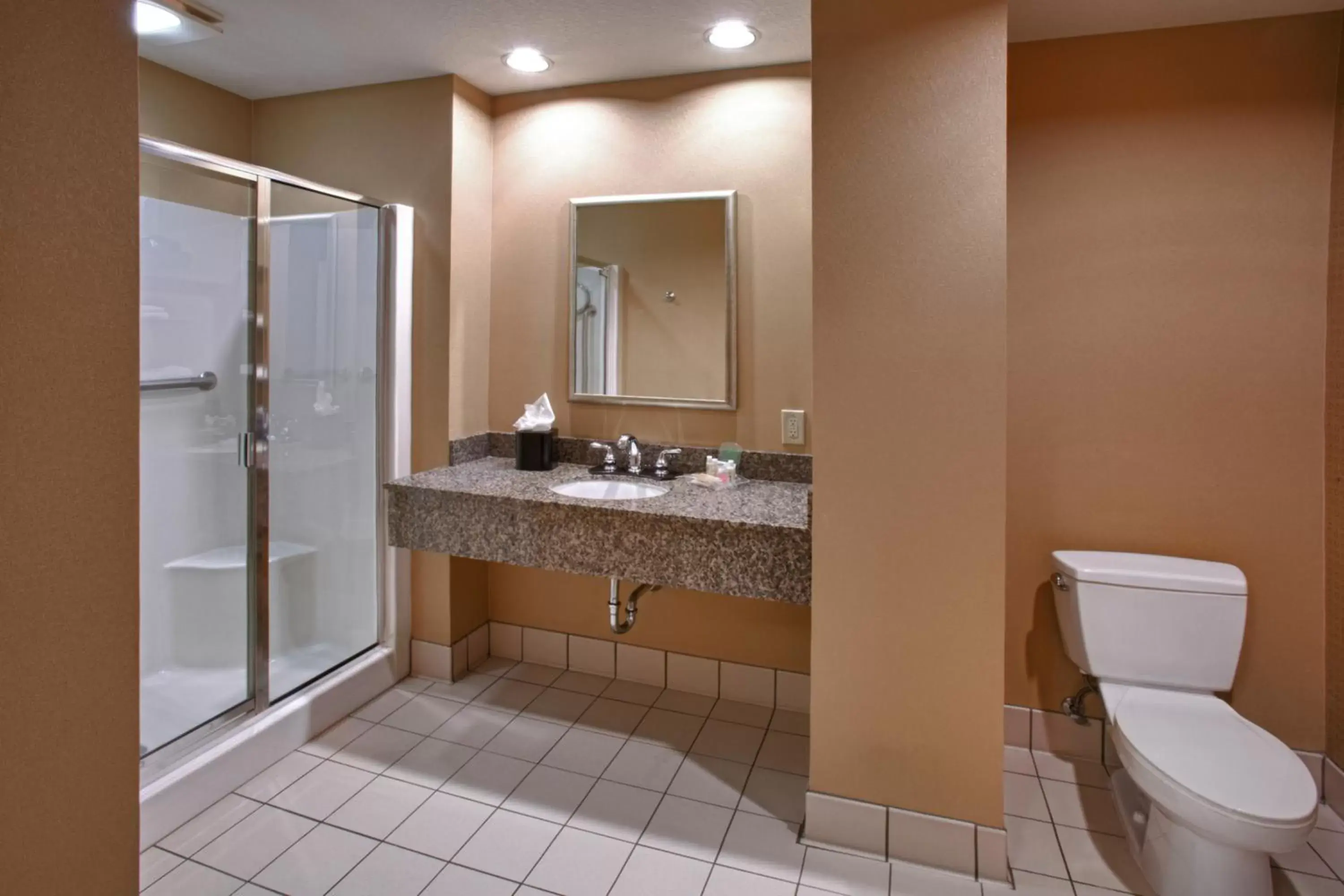 Photo of the whole room, Bathroom in Holiday Inn St. Paul Northeast - Lake Elmo, an IHG Hotel