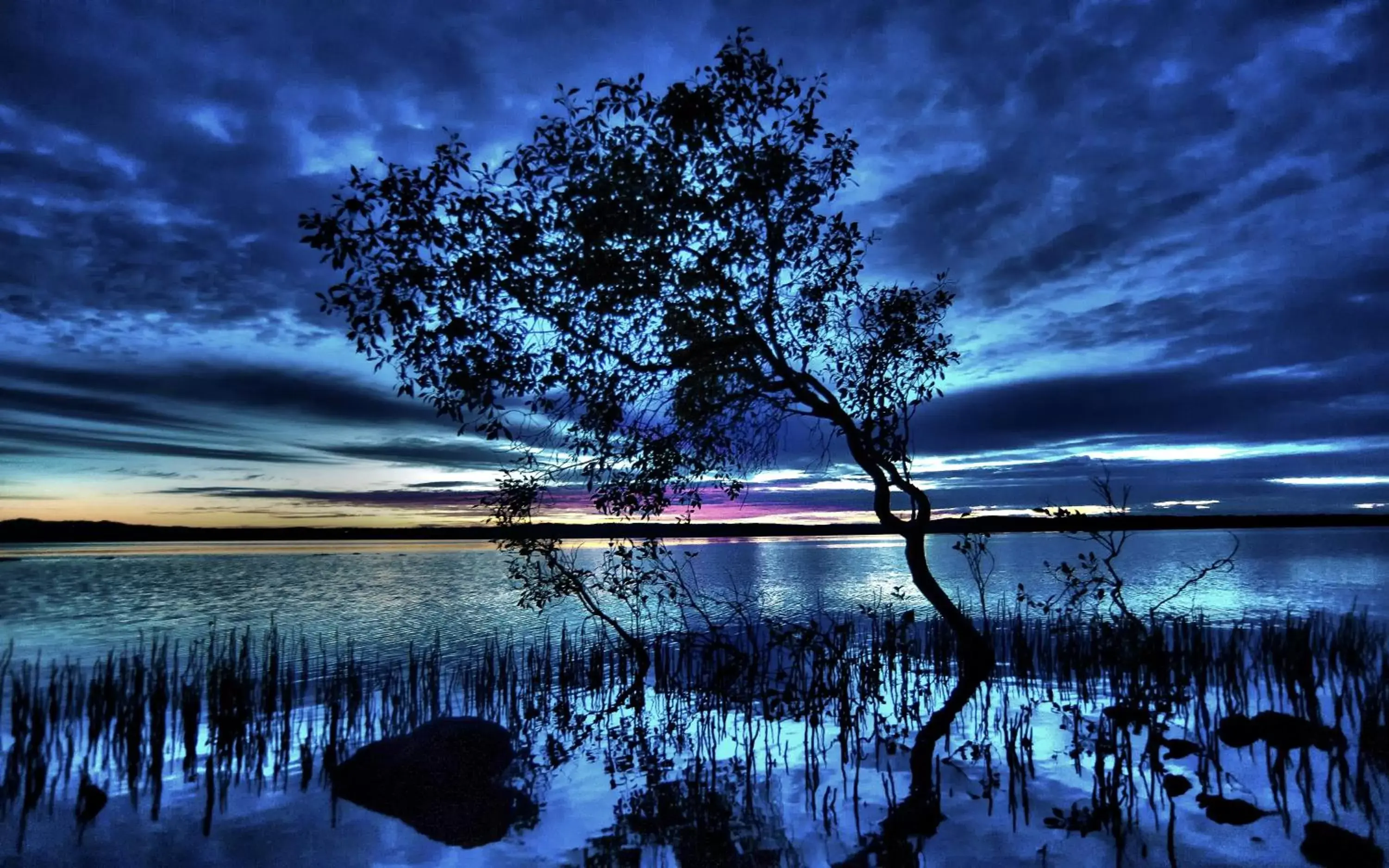 Lake view, Natural Landscape in Eumarella Shores Noosa Lake Retreat