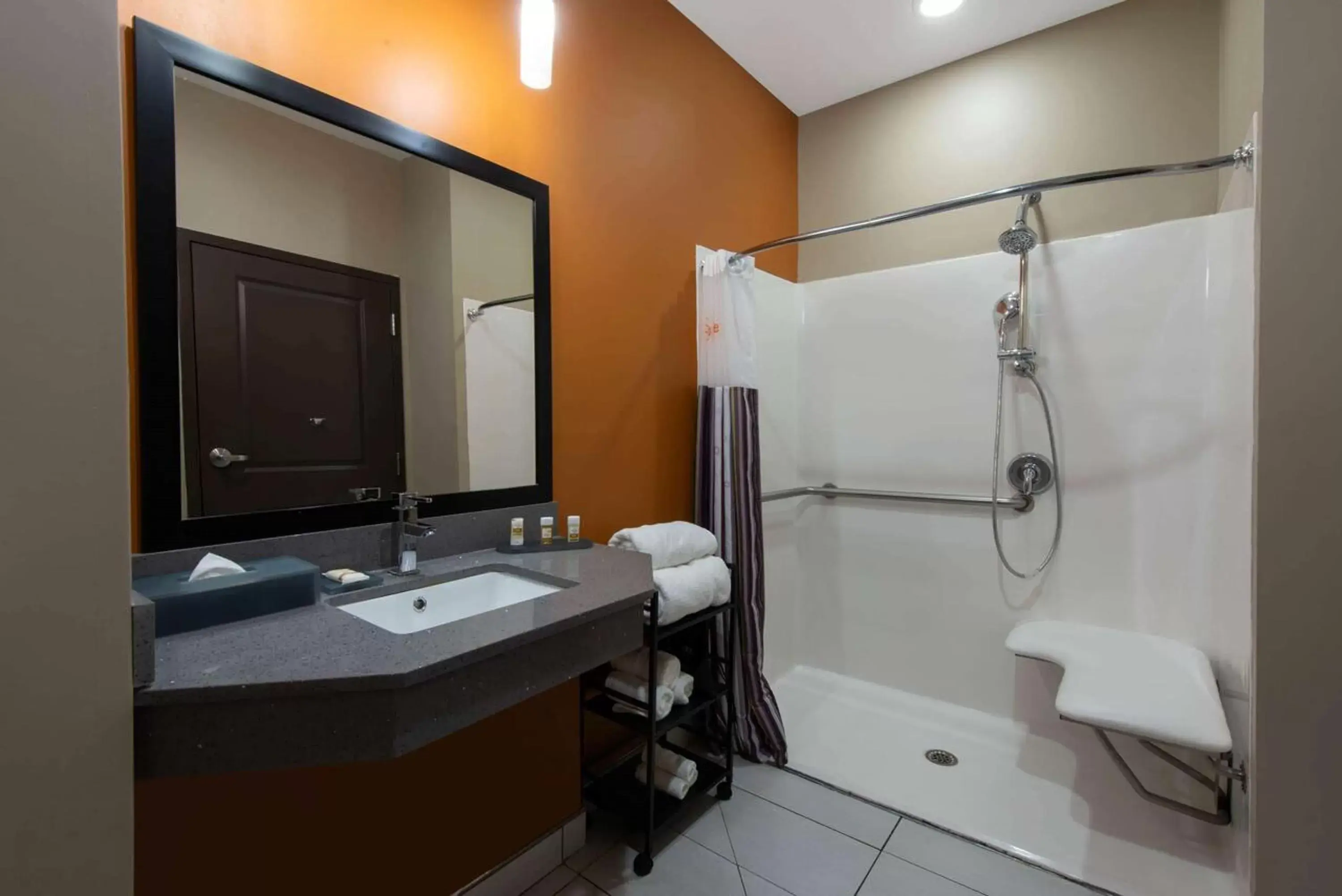 Shower, Bathroom in La Quinta by Wyndham Harrisburg-Hershey