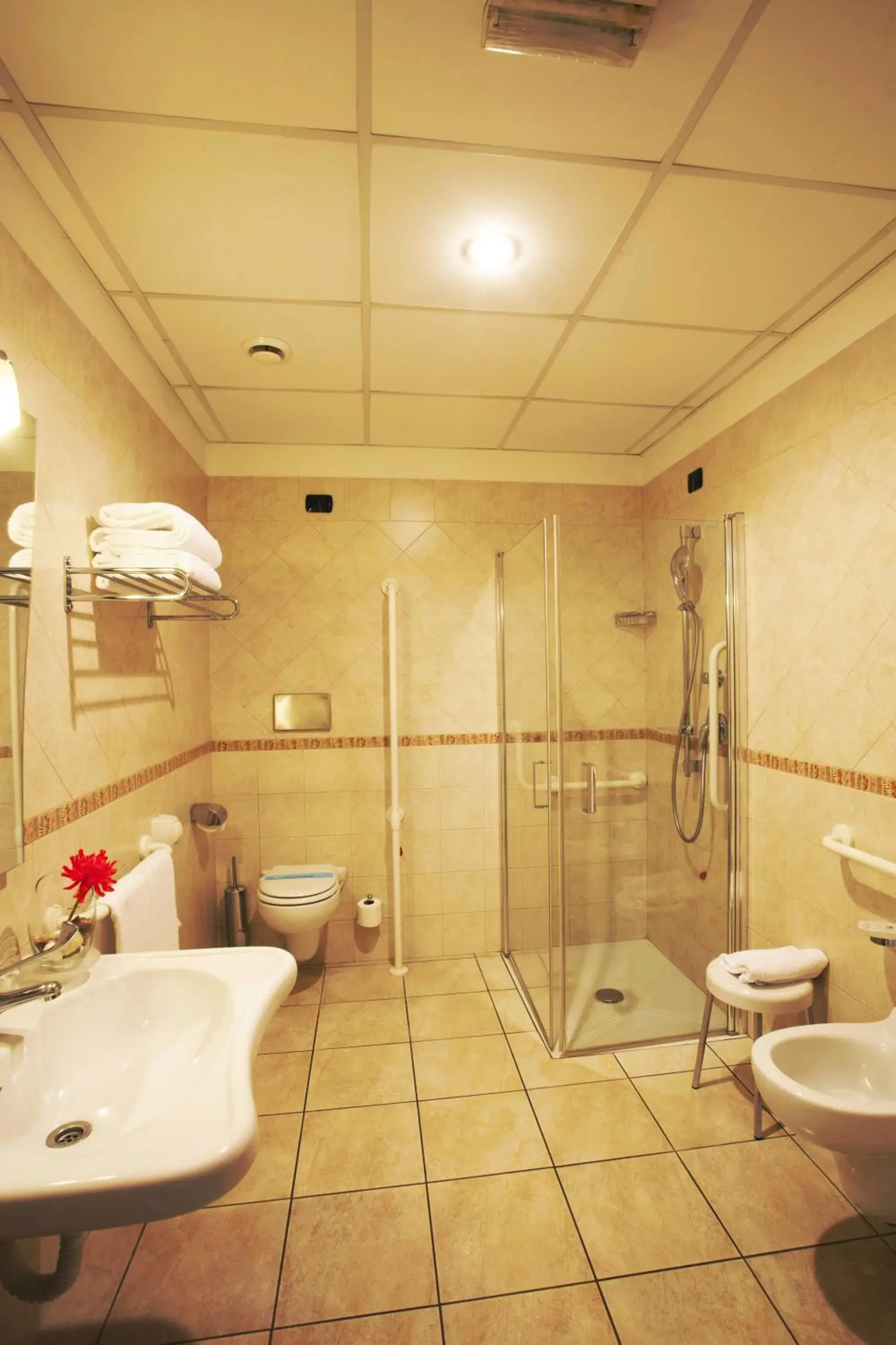 Shower, Bathroom in Hotel Domidea
