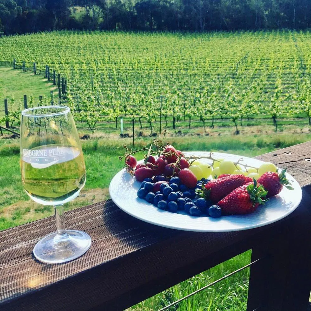 Gisborne Peak Winery Short Term Stays