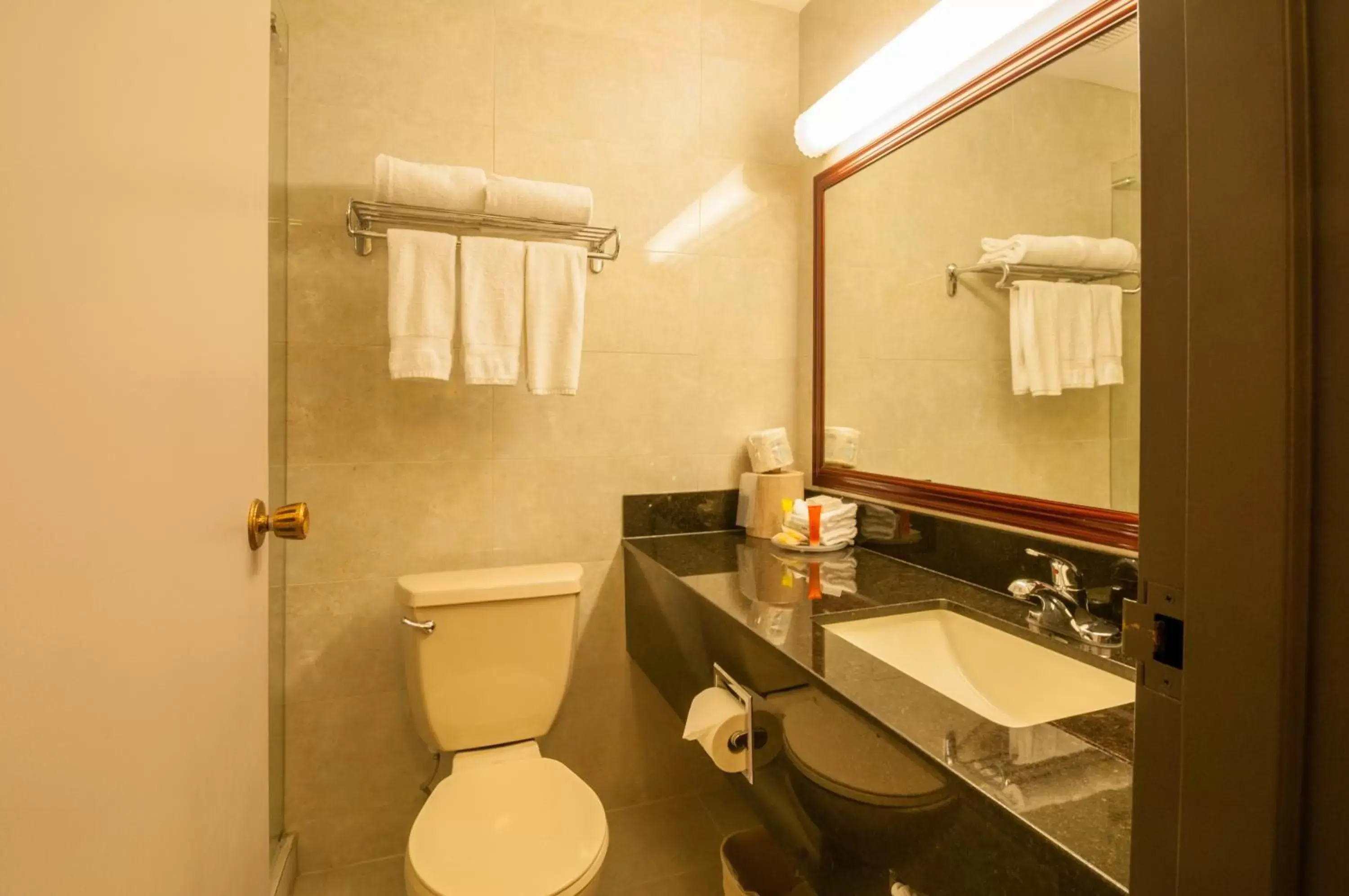 Bathroom in Best Western Airport Inn Bathroom in Best Western Airport Inn