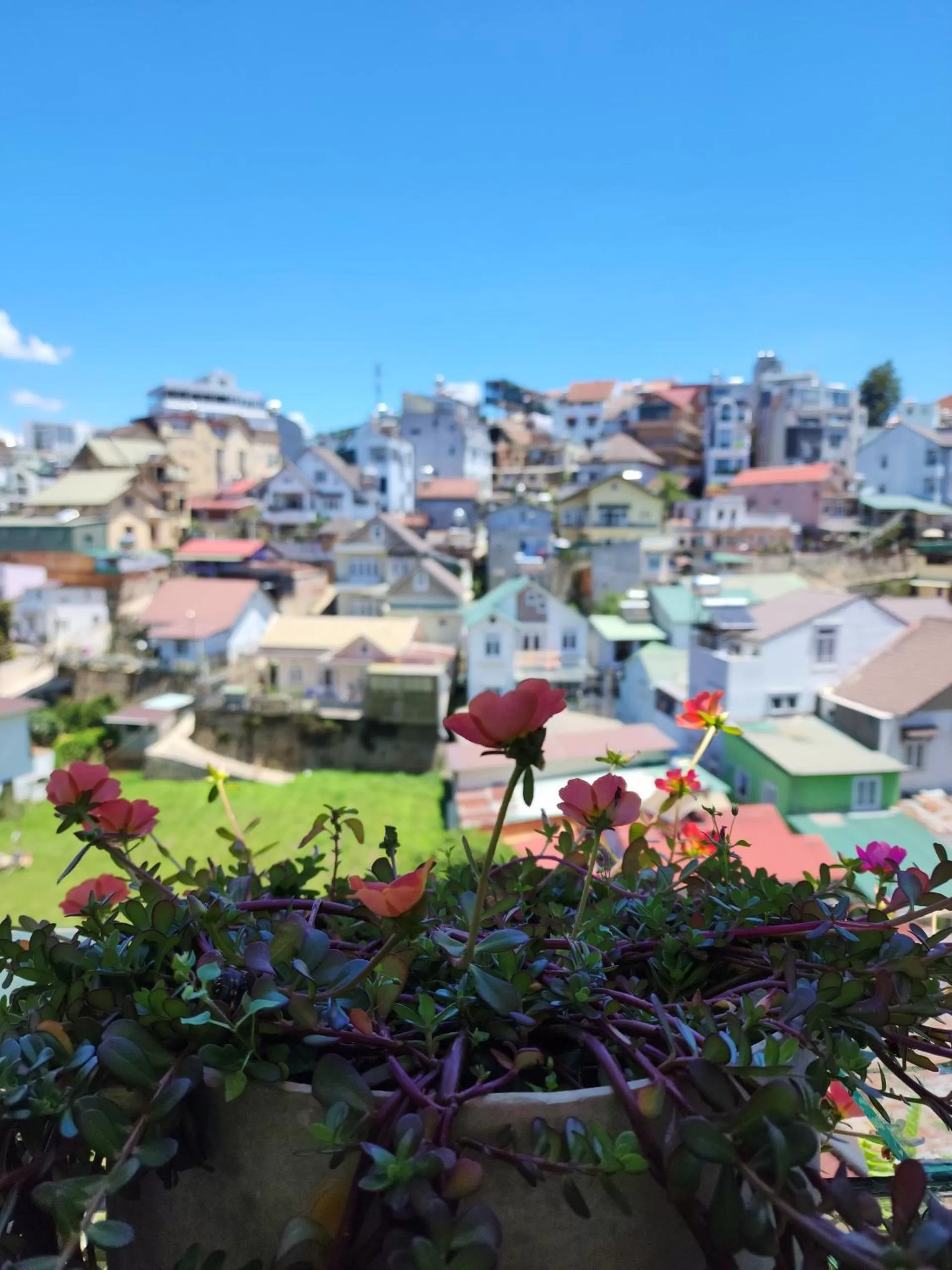 Natural landscape in Ngàn Phố Studio & Love Hotel