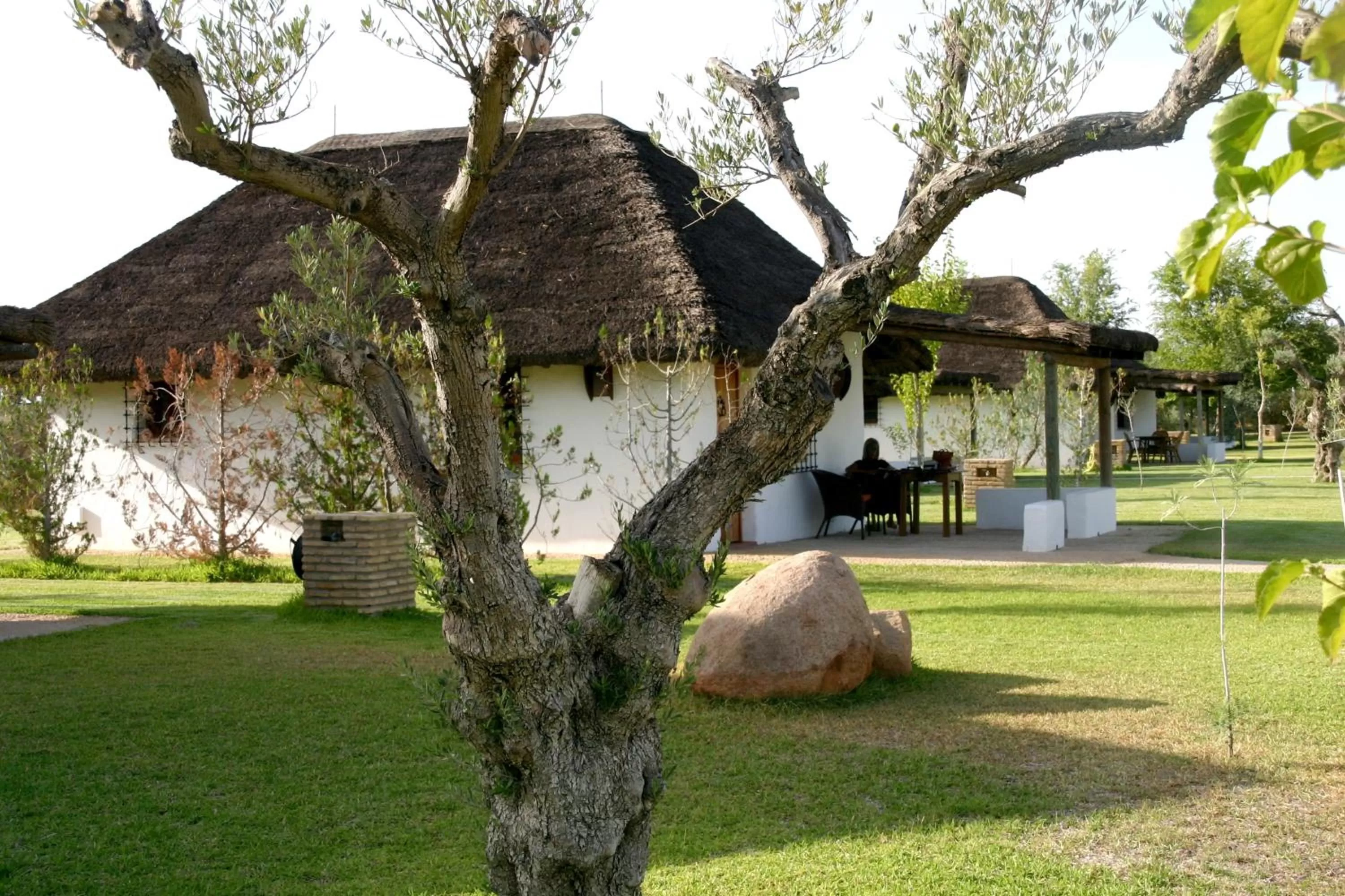 Photo of the whole room in Ardea Purpurea