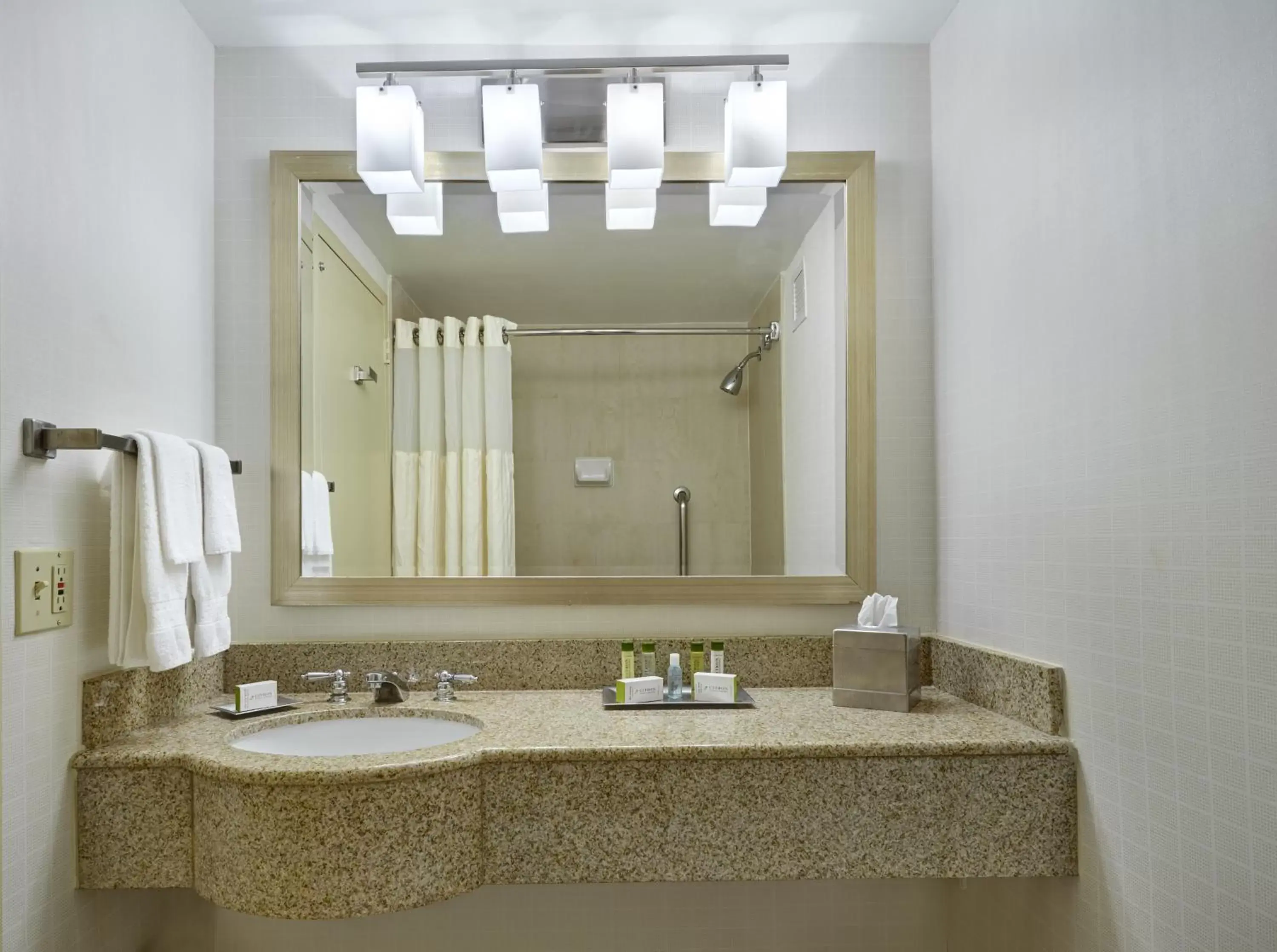 Shower, Bathroom in Hotel Silver Spring