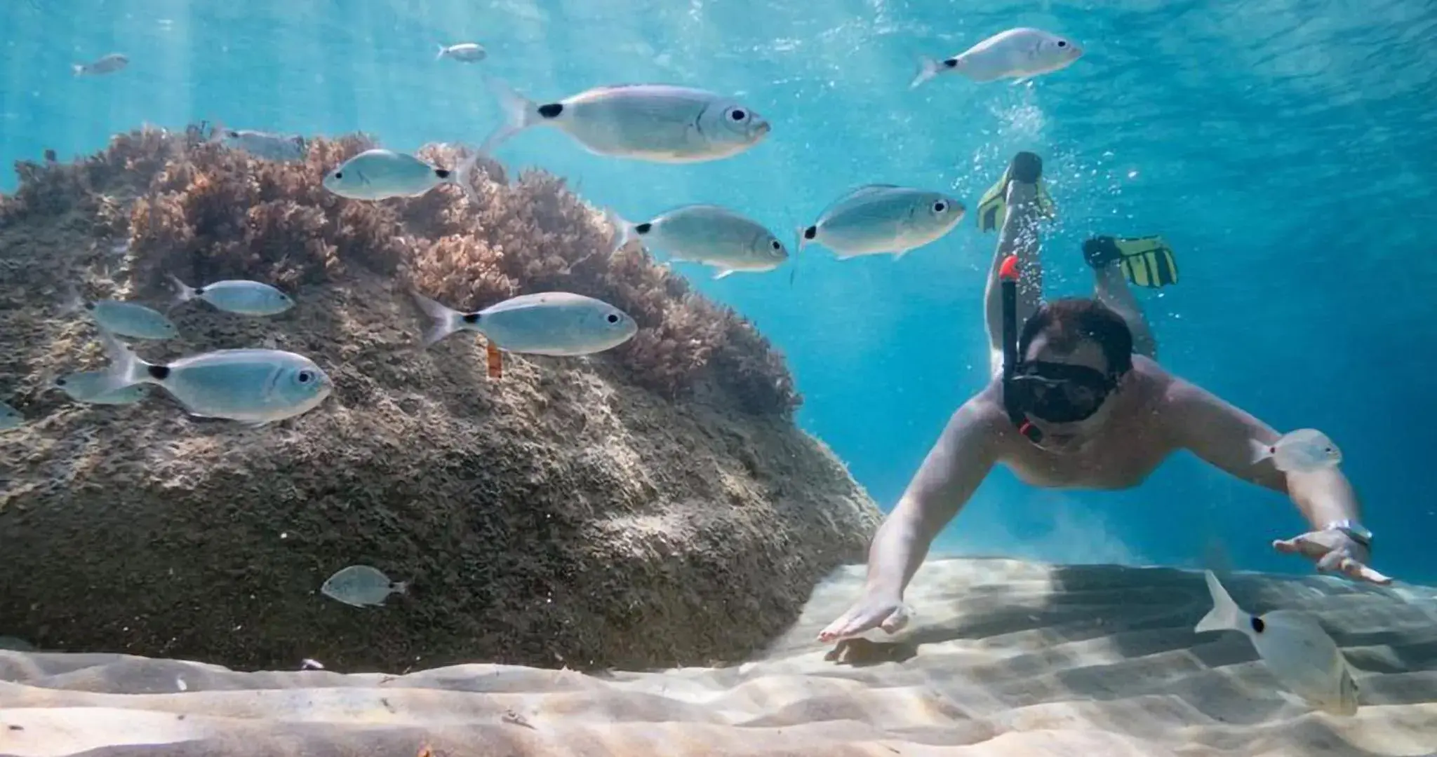 Snorkeling in Residence Hotel Lu Nibareddu