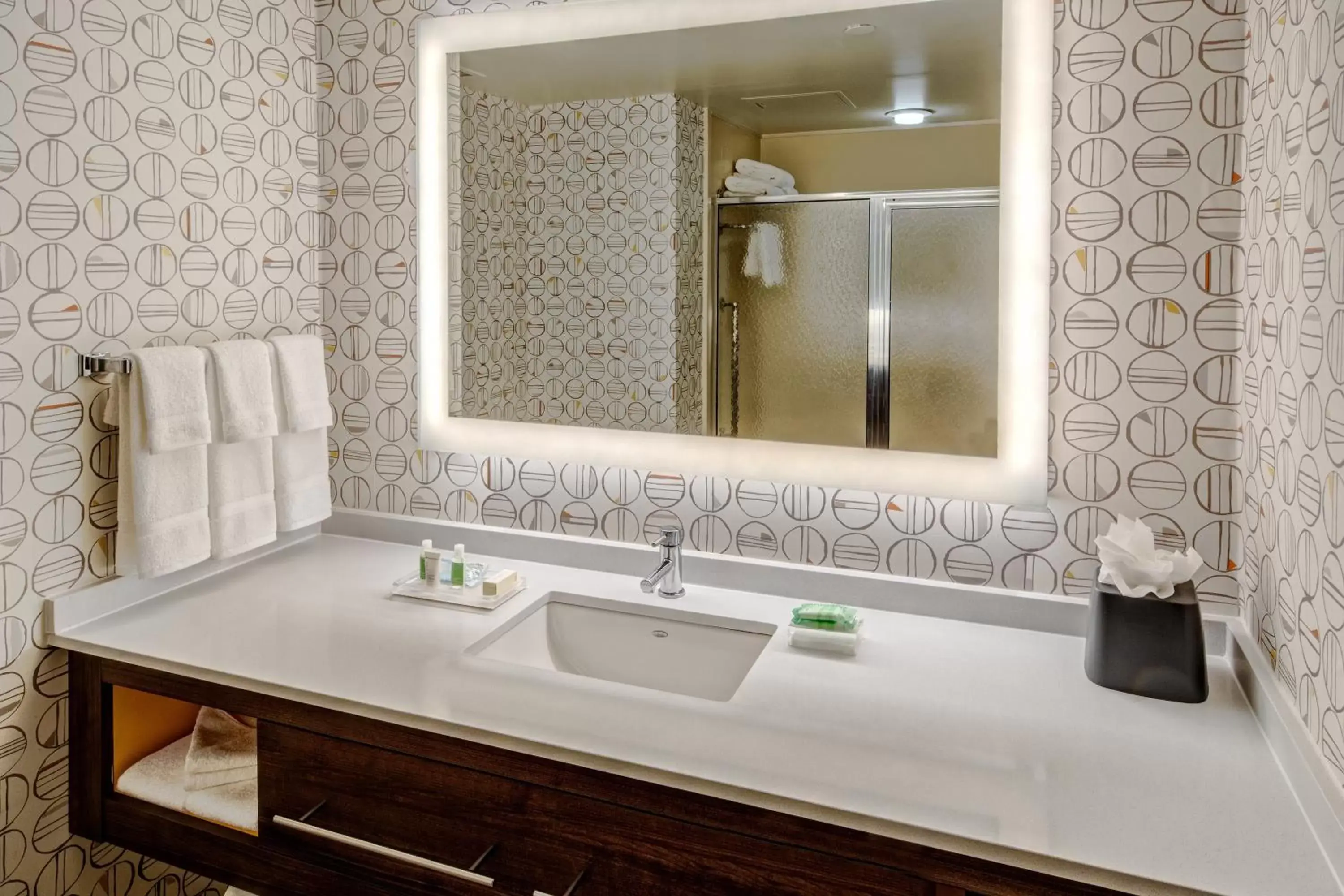 Bedroom, Bathroom in Holiday Inn Rocky Mount I-95 @ US 64, an IHG Hotel