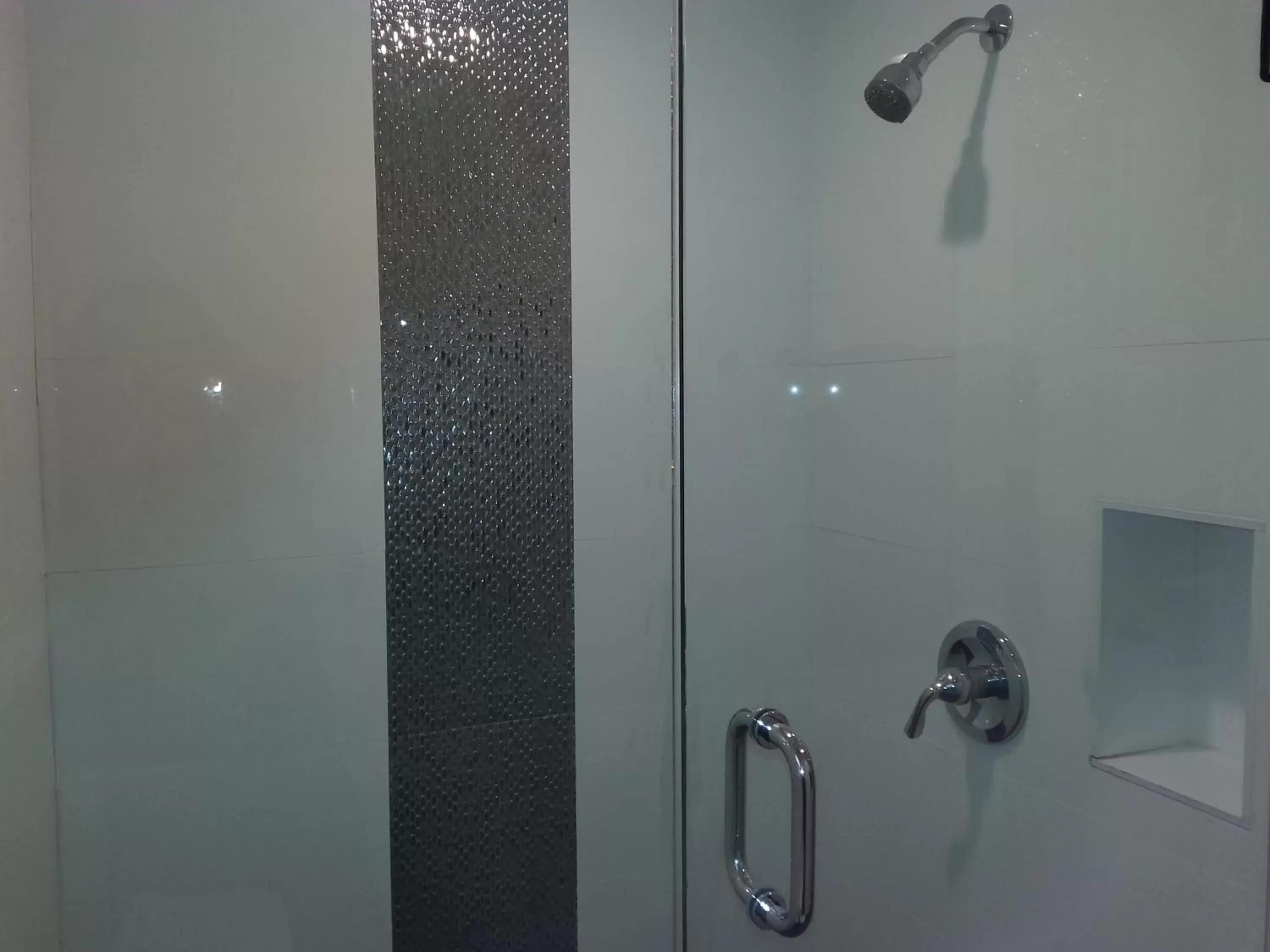 Shower, Bathroom in Hollywood VIP Hotel